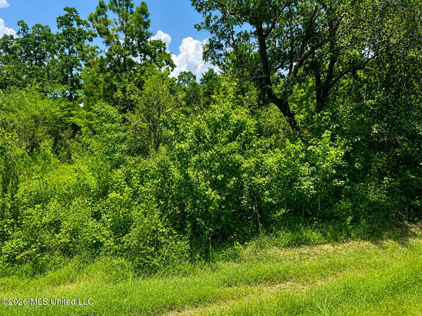 11011 Heron Street Property Photo 2