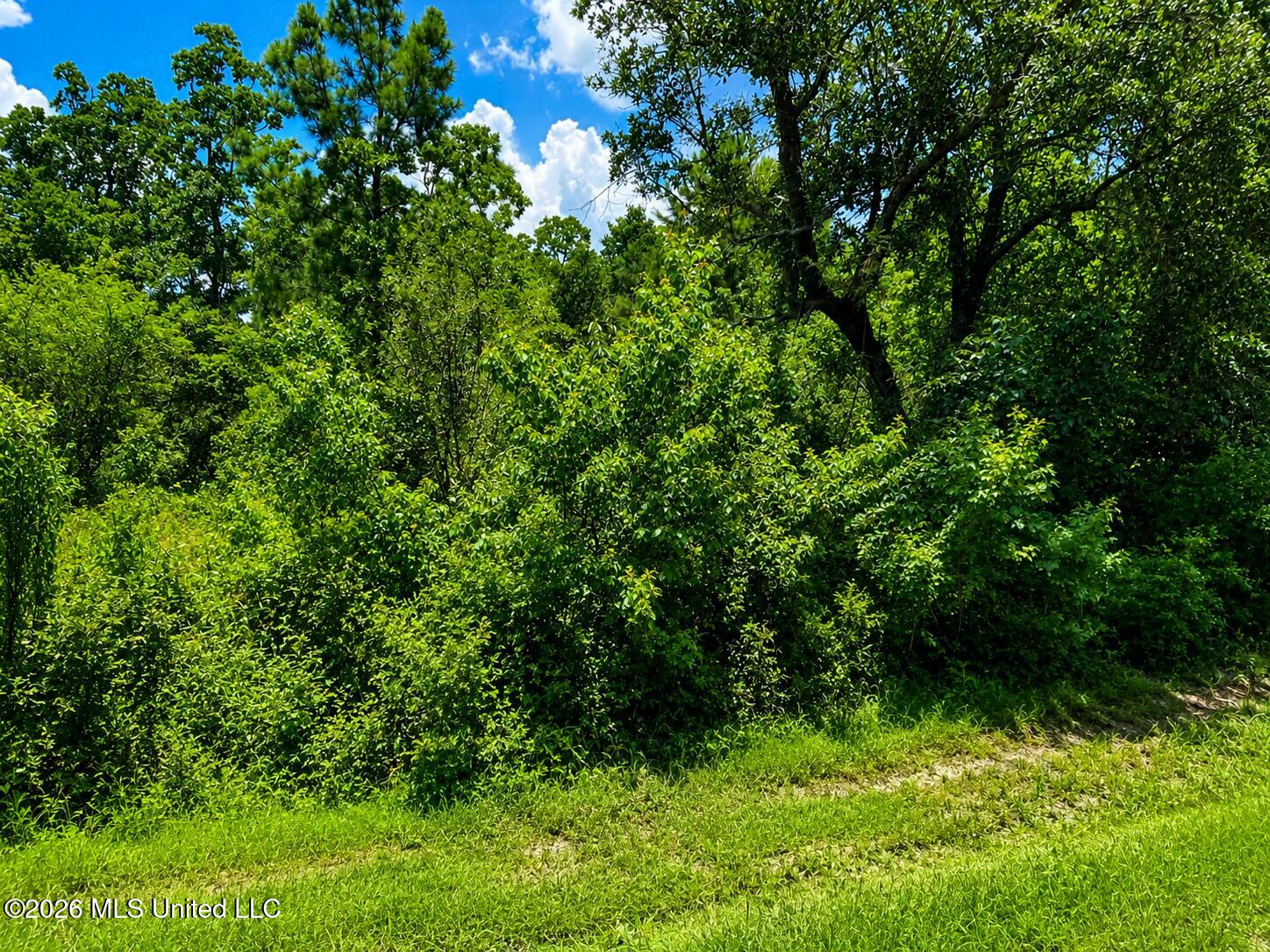 11011 Heron Street Property Photo 4