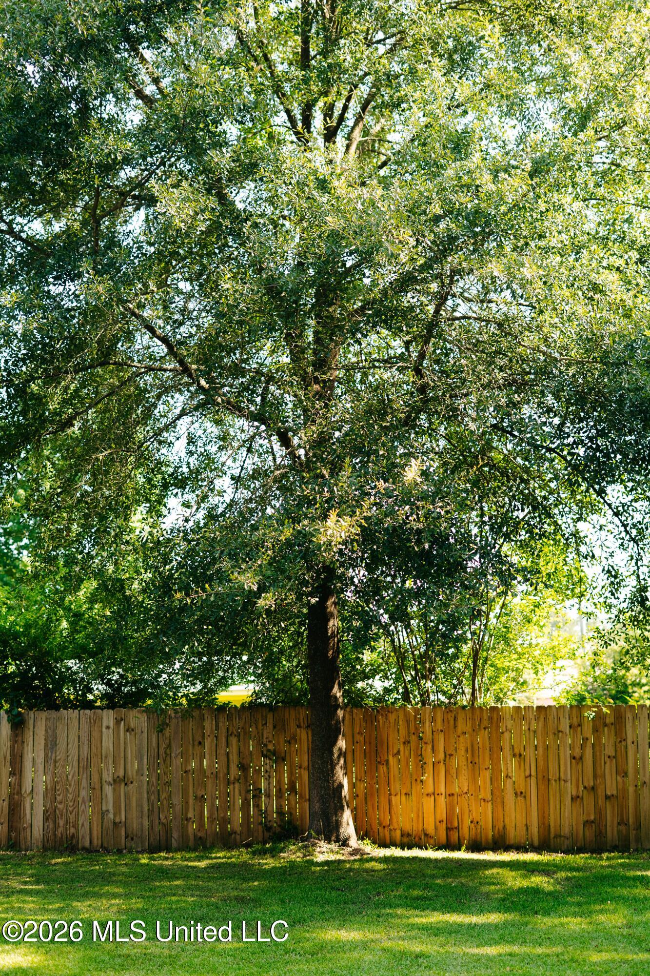 304 Spring Street Property Photo 22
