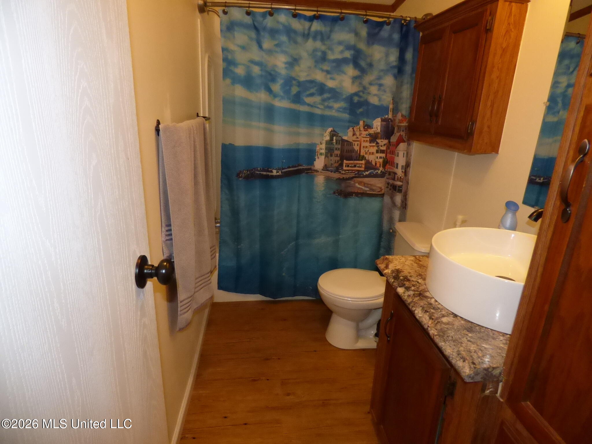 912 Old Highway 51 Property Photo 12