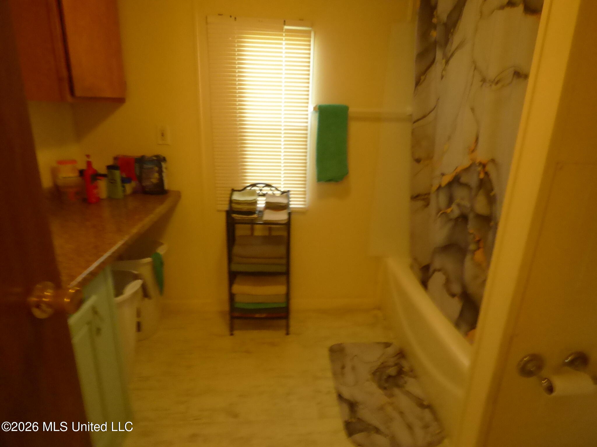 916 Old Highway 51 Property Photo 10