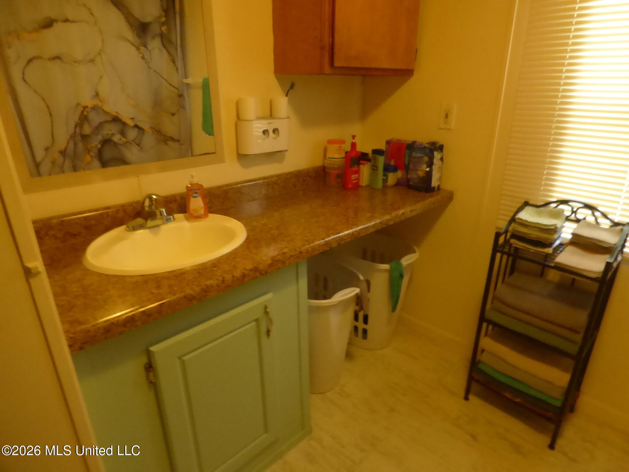 916 Old Highway 51 Property Photo 11