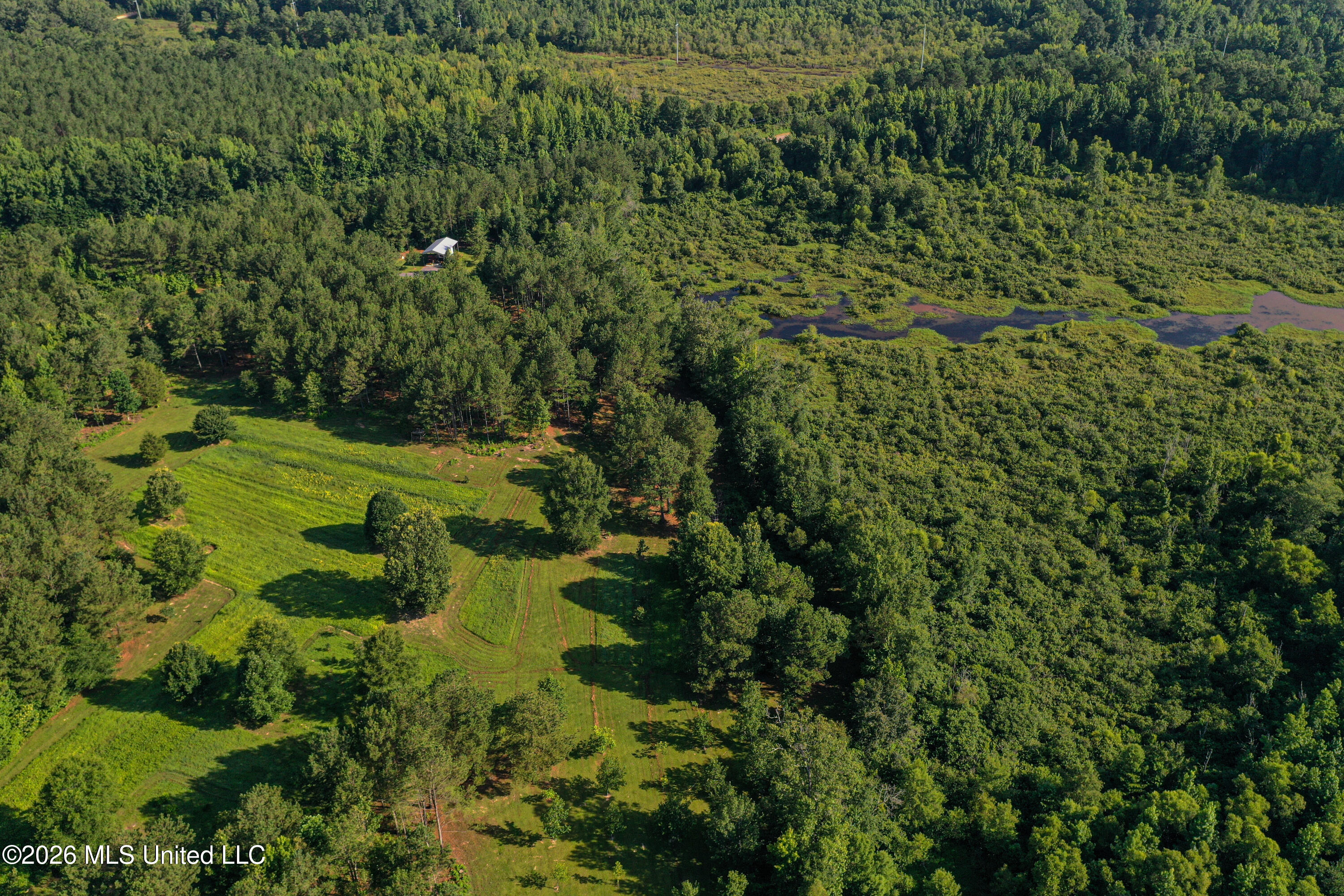 Mississippi 12 Property Photo 1