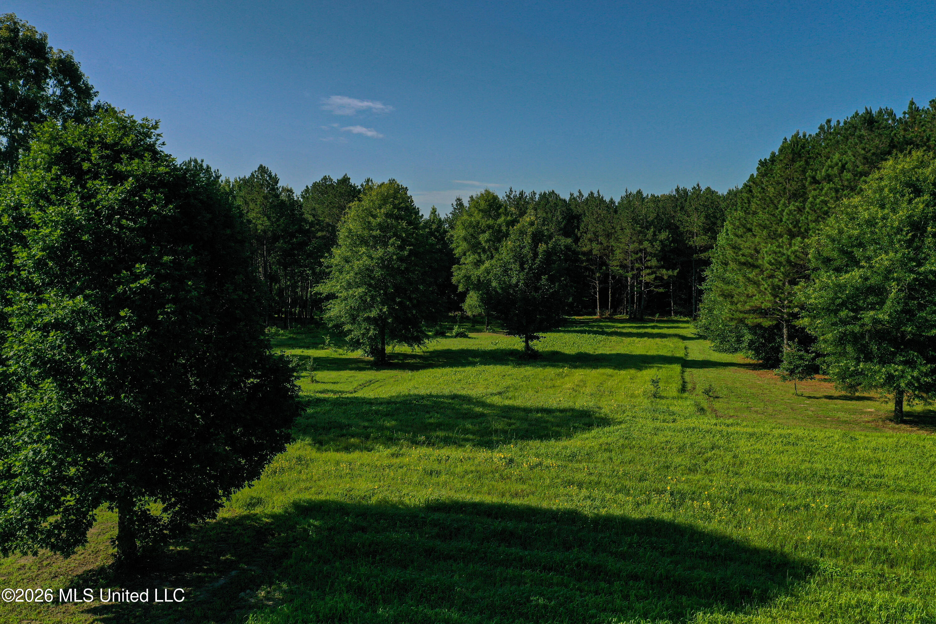 Mississippi 12 Property Photo 5
