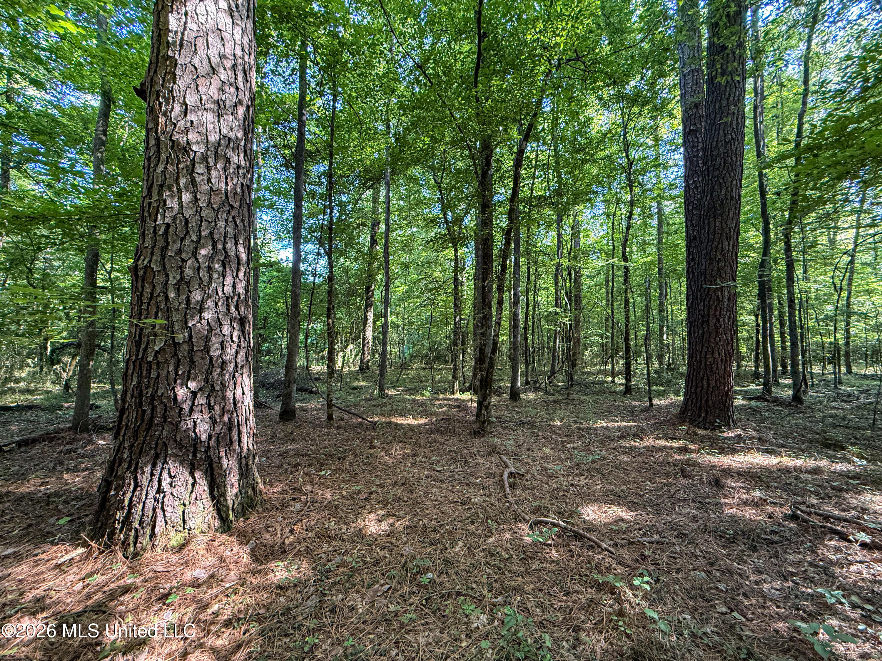 Mississippi 12 Property Photo 7