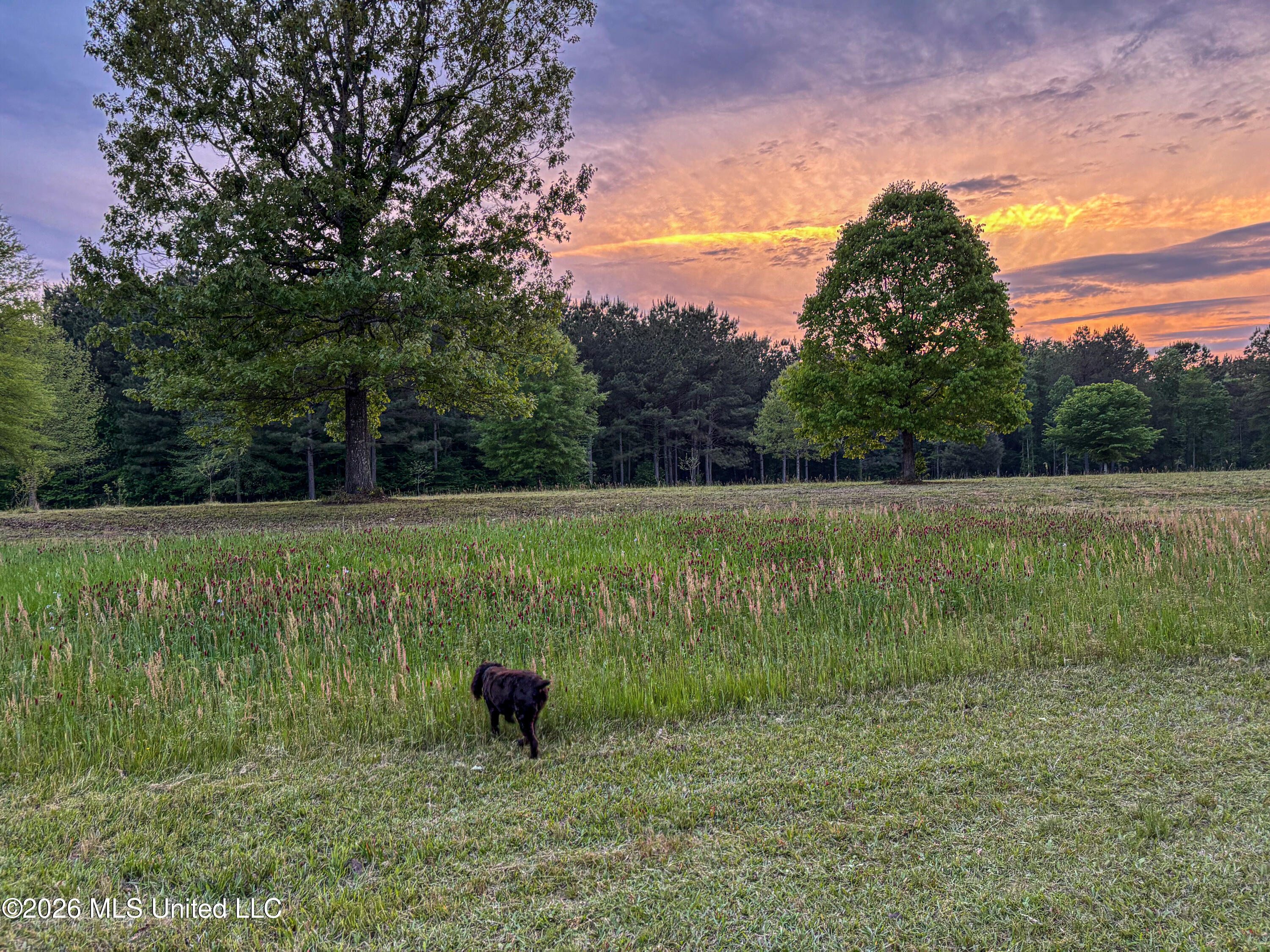 Mississippi 12 Property Photo 15