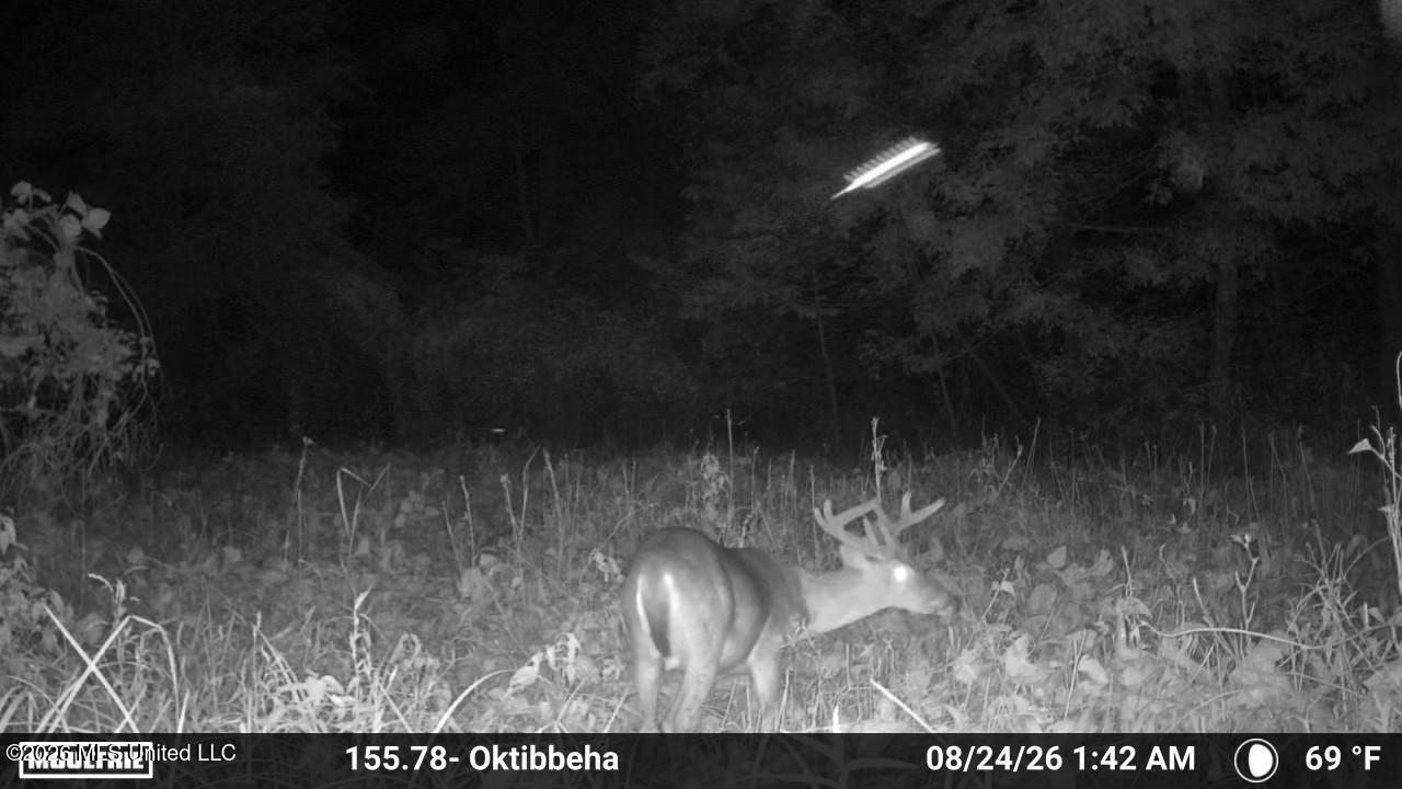 Mississippi 12 Property Photo 17