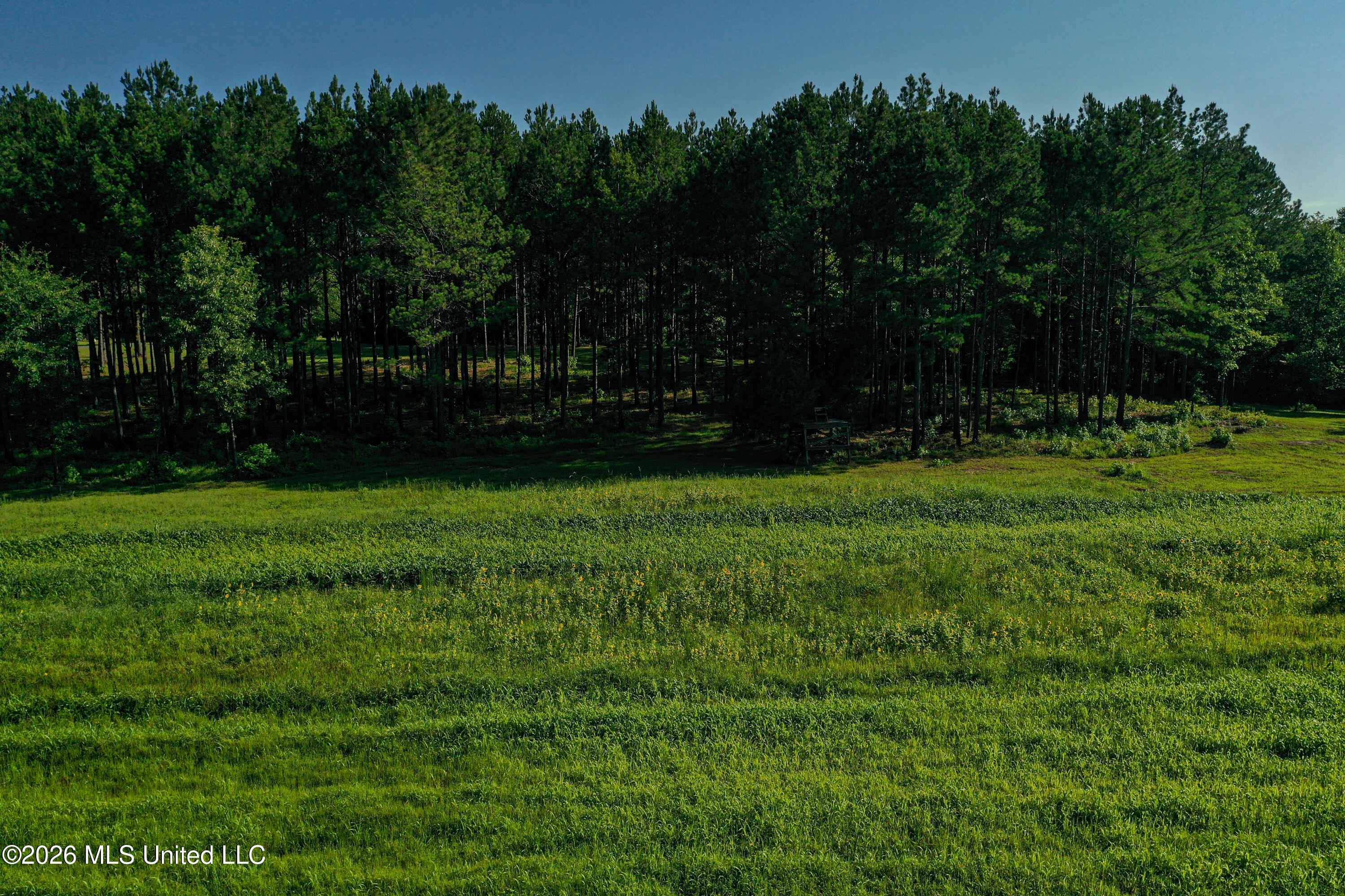 Mississippi 12 Property Photo 58
