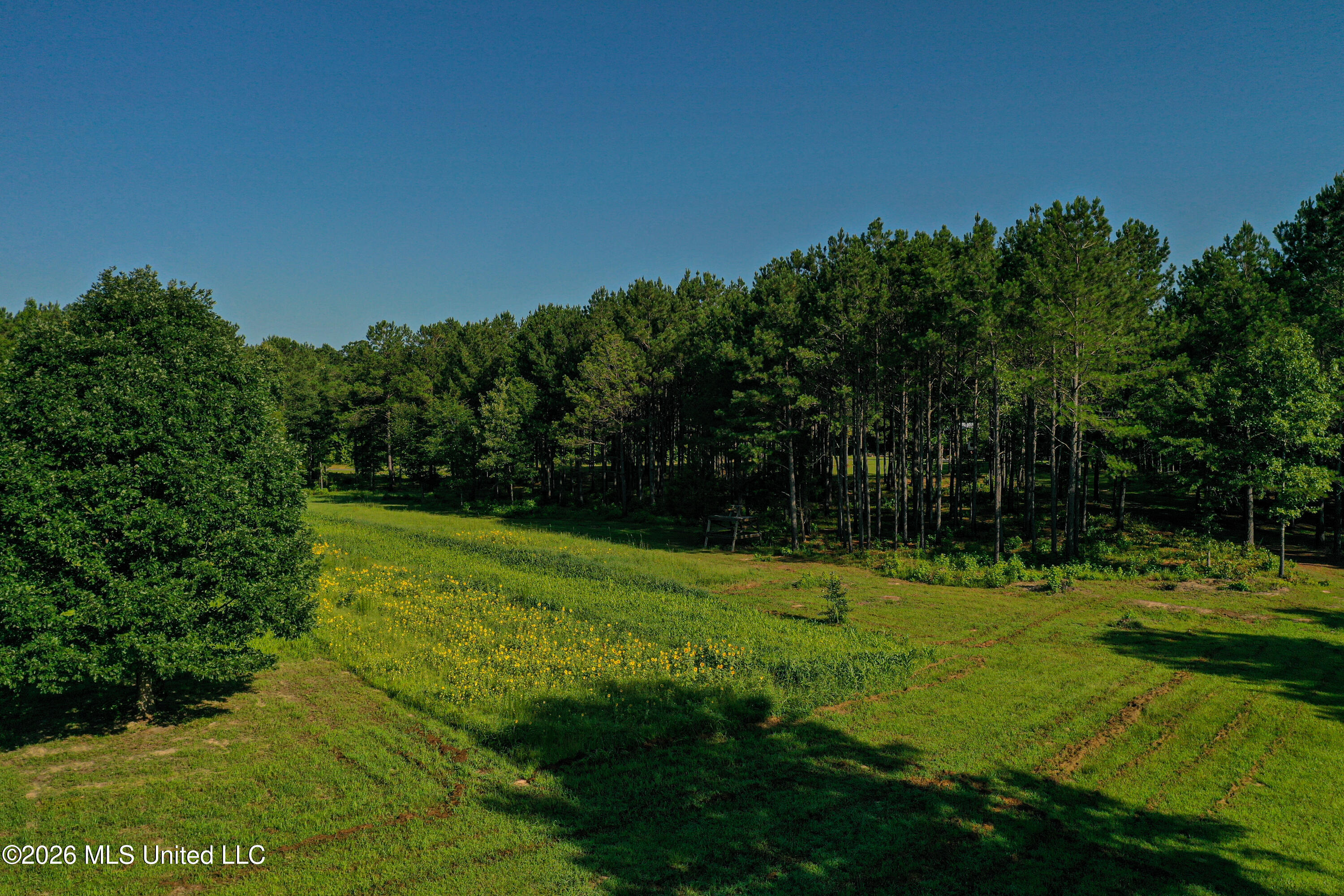 Mississippi 12 Property Photo 59