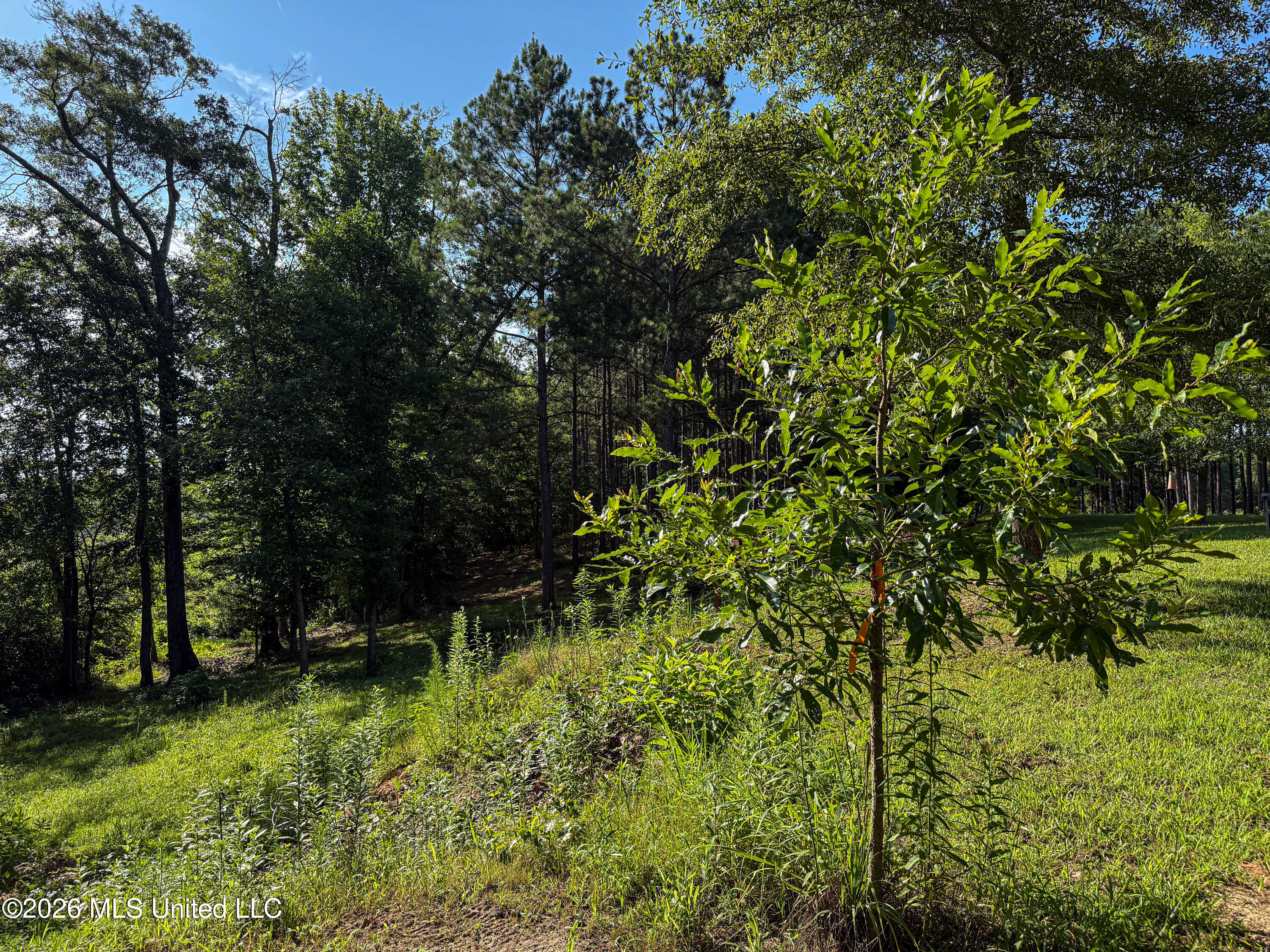 Mississippi 12 Property Photo 73