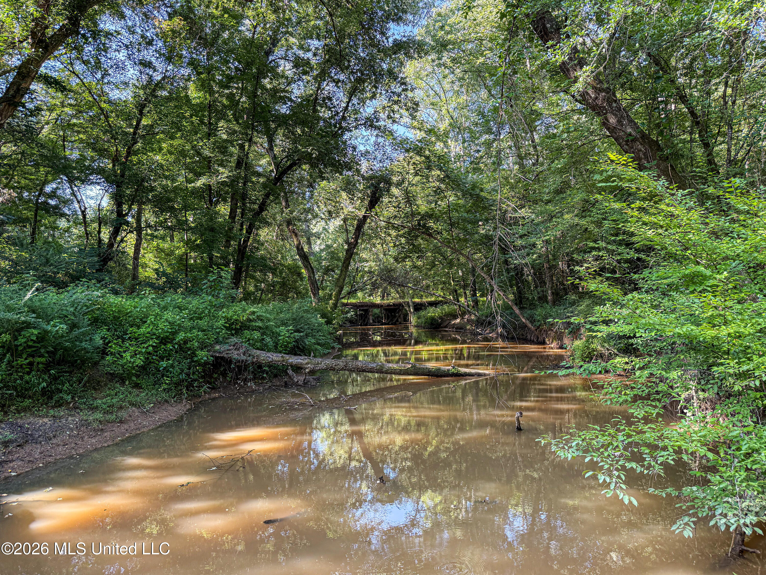 Mississippi 12 Property Photo 86