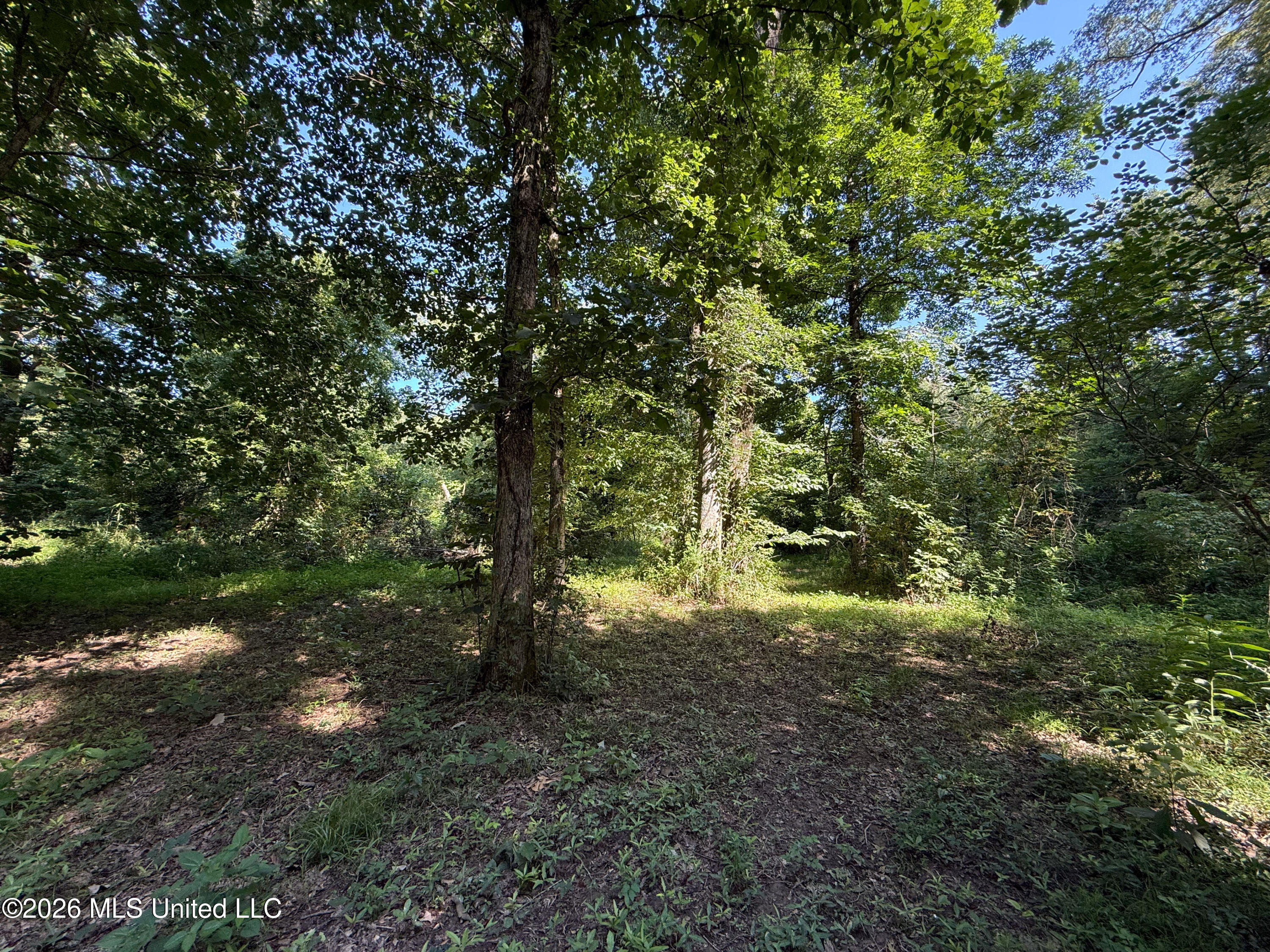 Mississippi 12 Property Photo 90