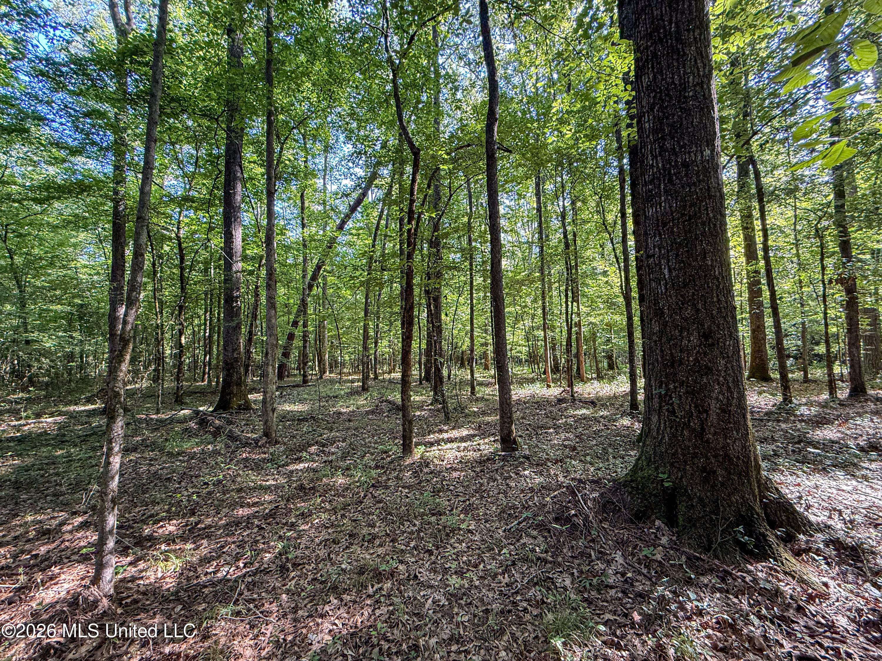 Mississippi 12 Property Photo 96