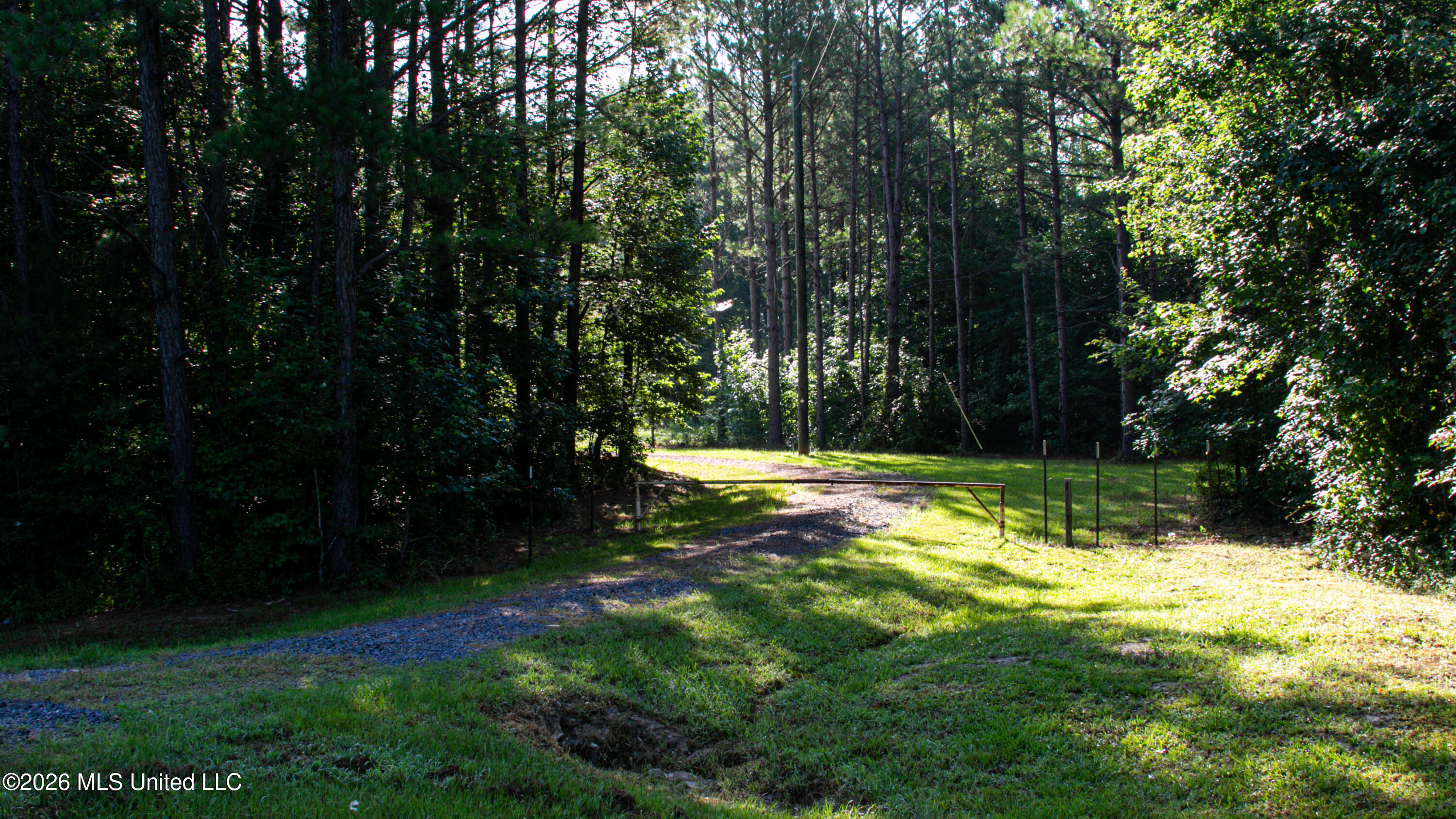 Mississippi 12 Property Photo 107