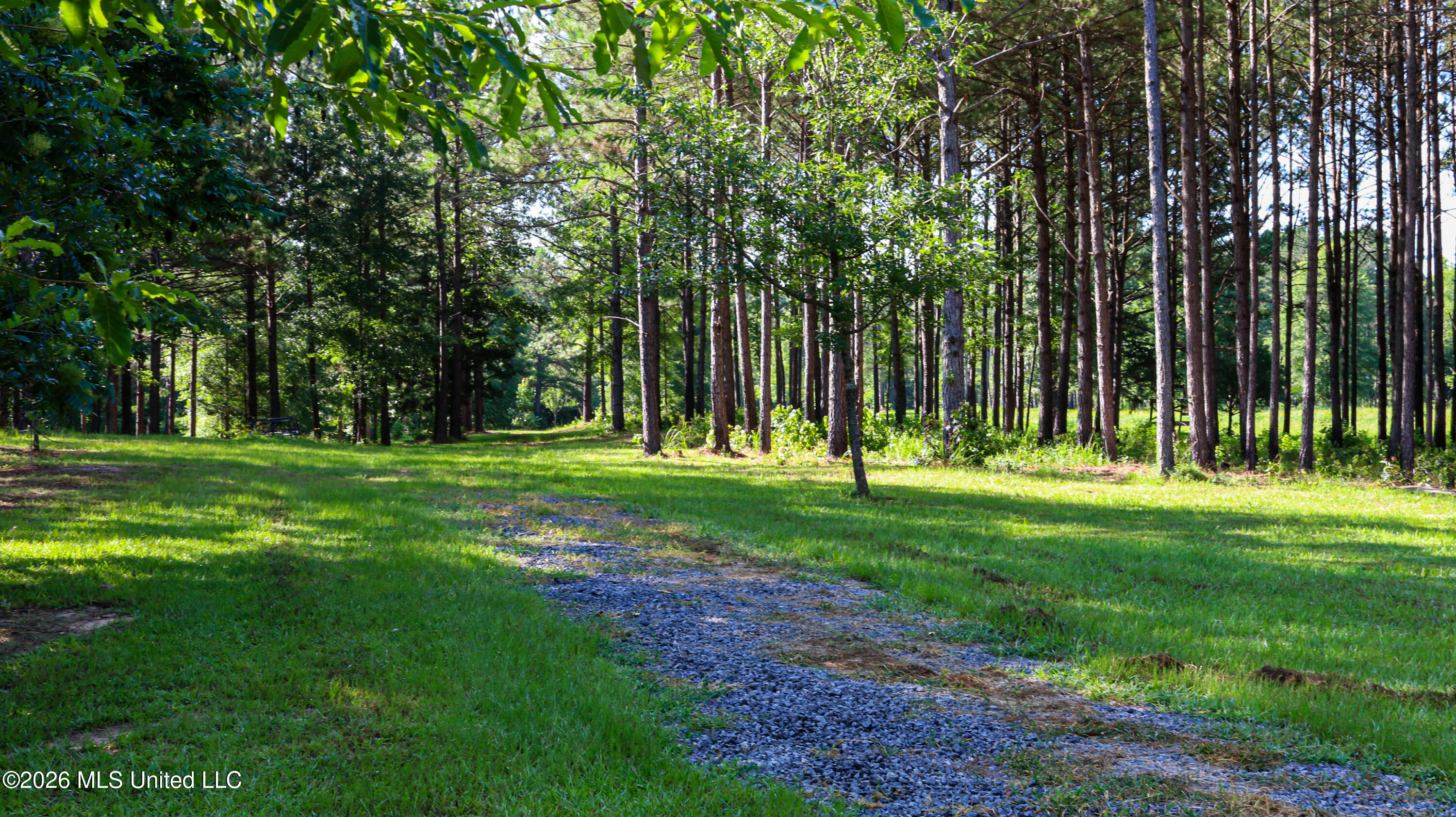 Mississippi 12 Property Photo 109
