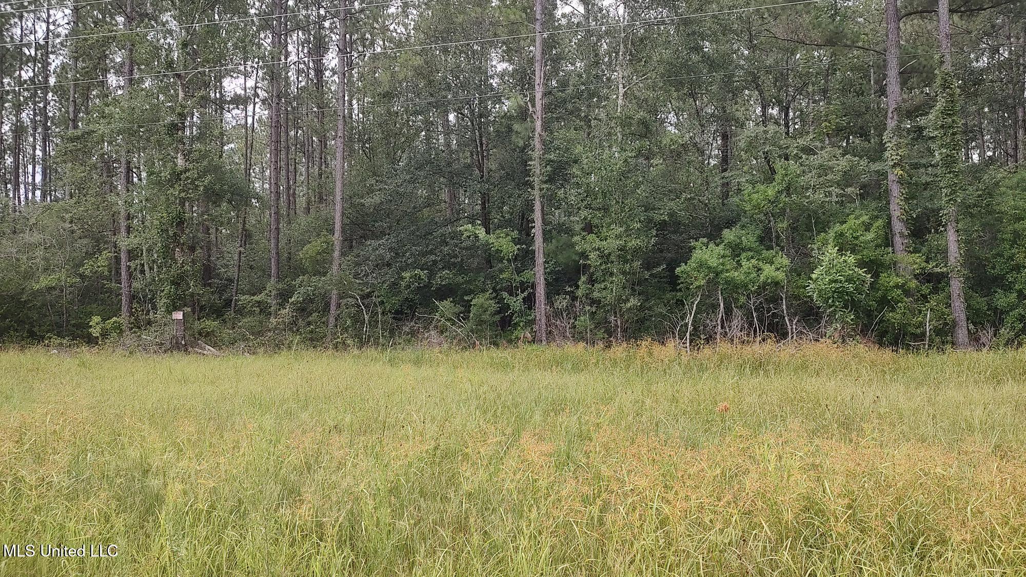Mississippi 43 N Property Photo 1