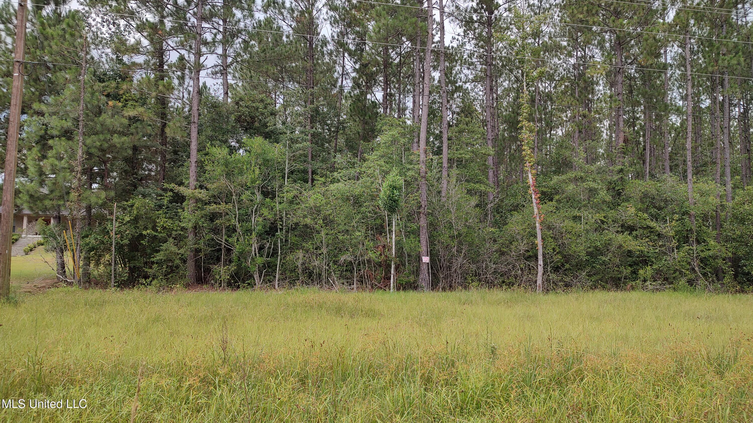 Mississippi 43 N Property Photo 2