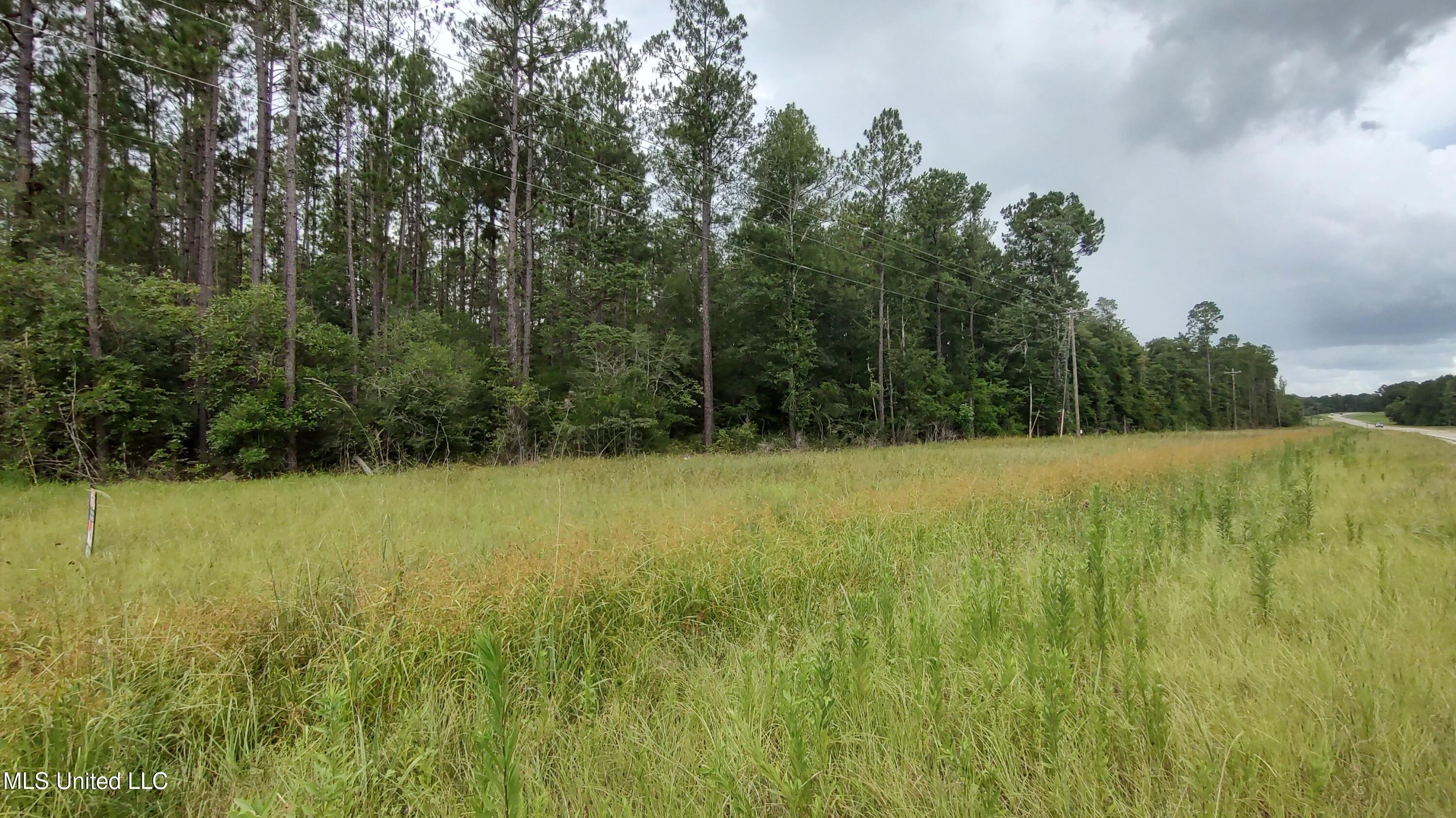 Mississippi 43 N Property Photo 3