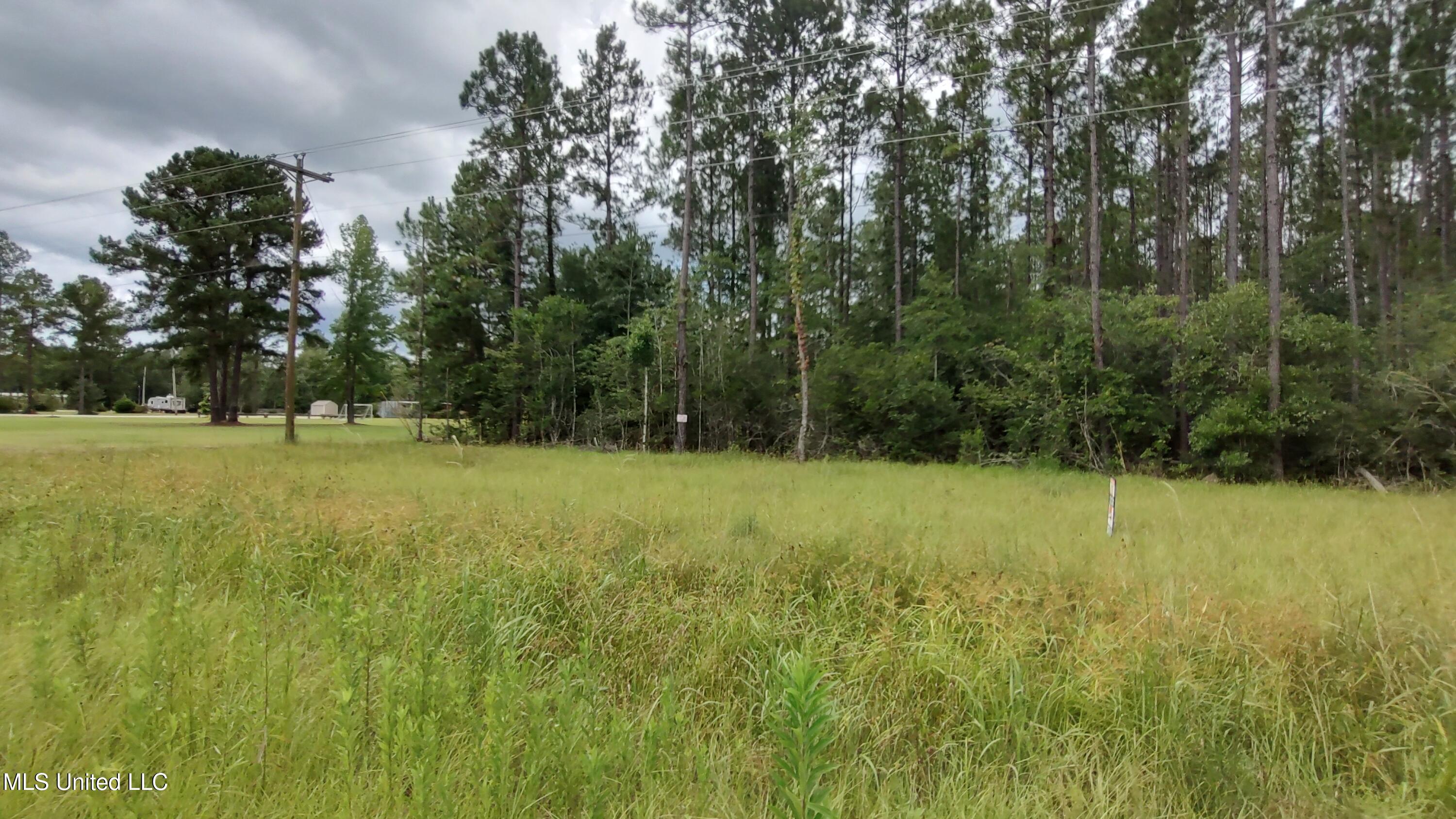 Mississippi 43 N Property Photo 4
