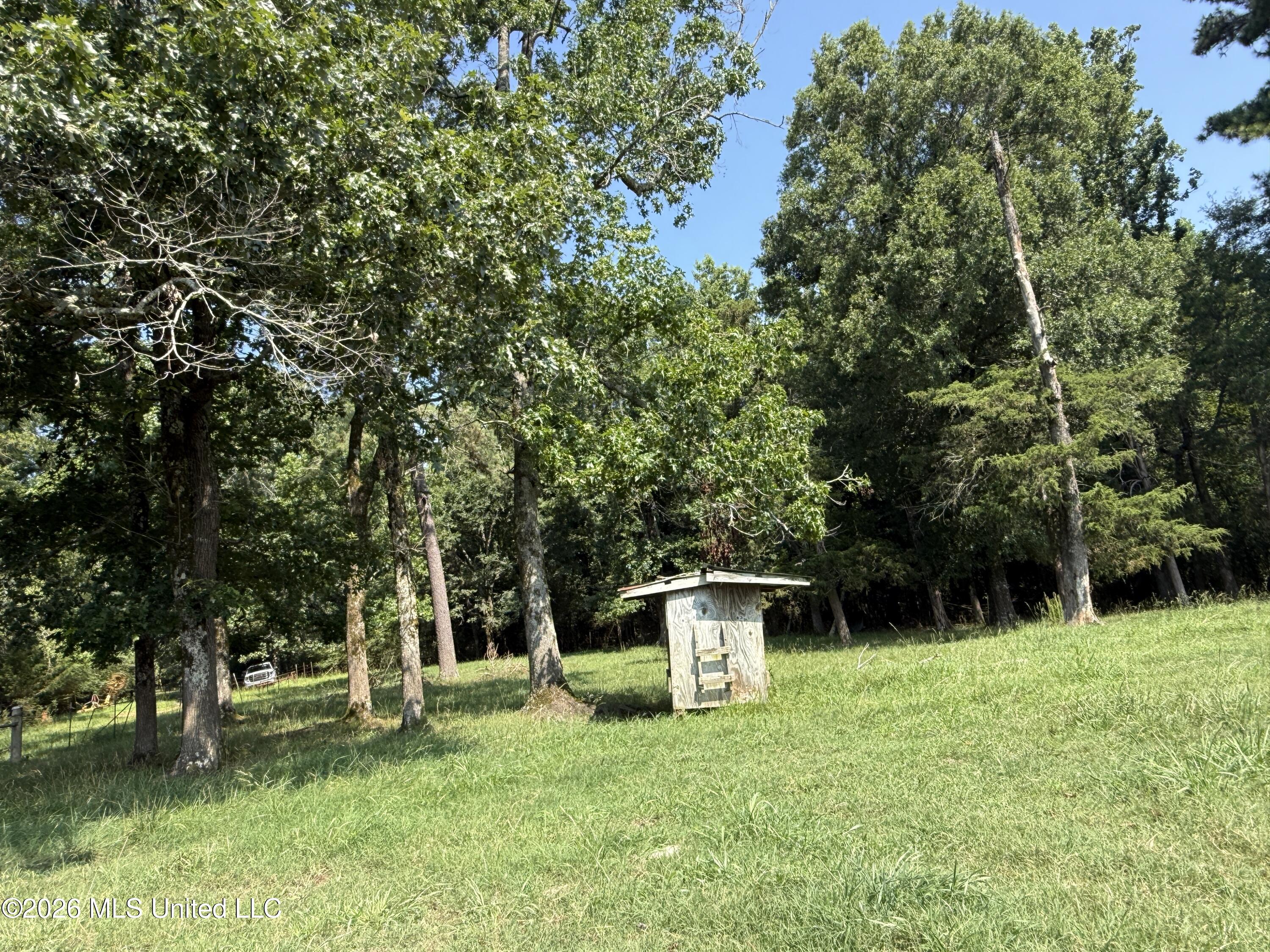 Monte Vista Road Property Photo 5
