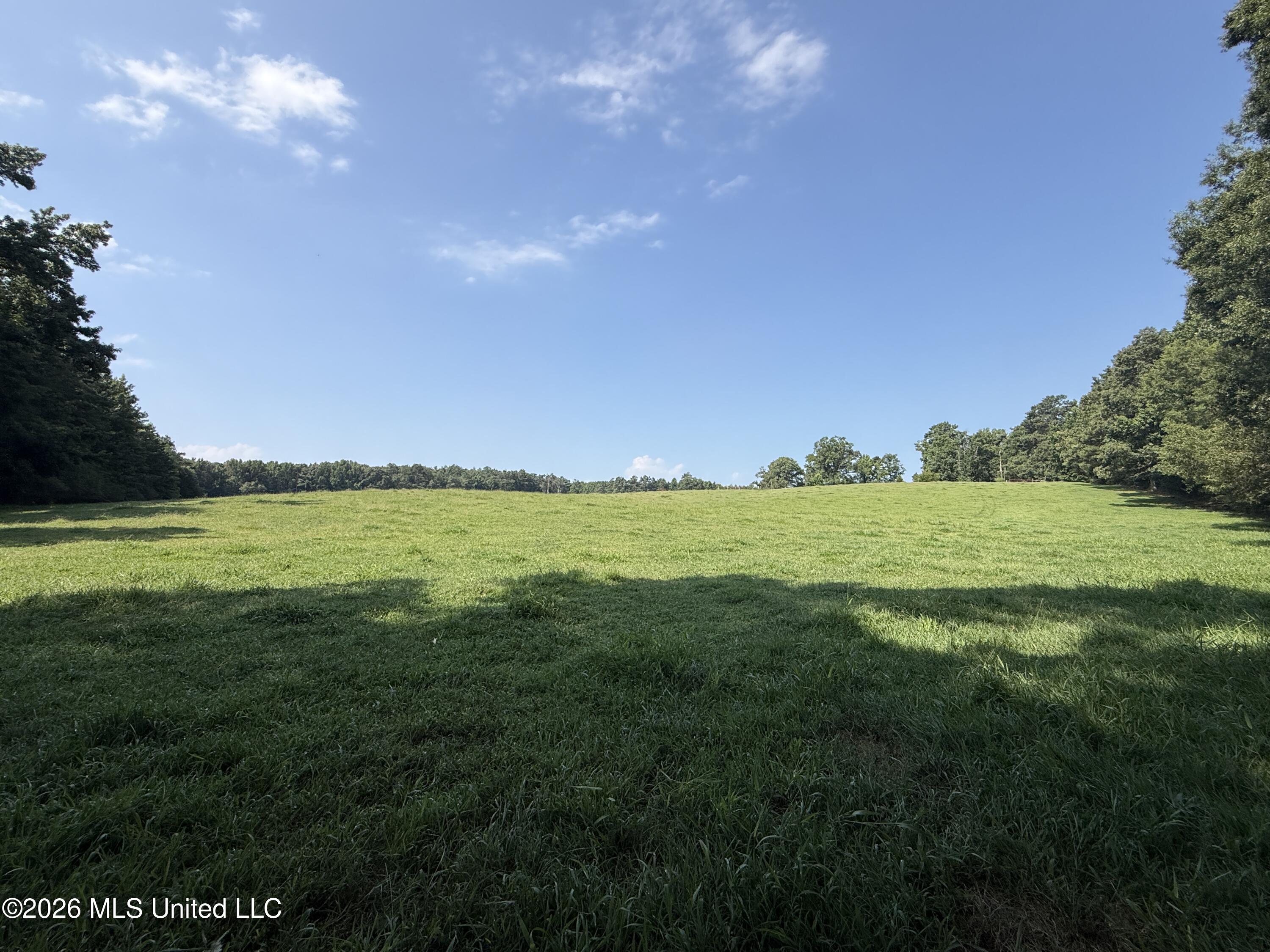 Monte Vista Road Property Photo 19