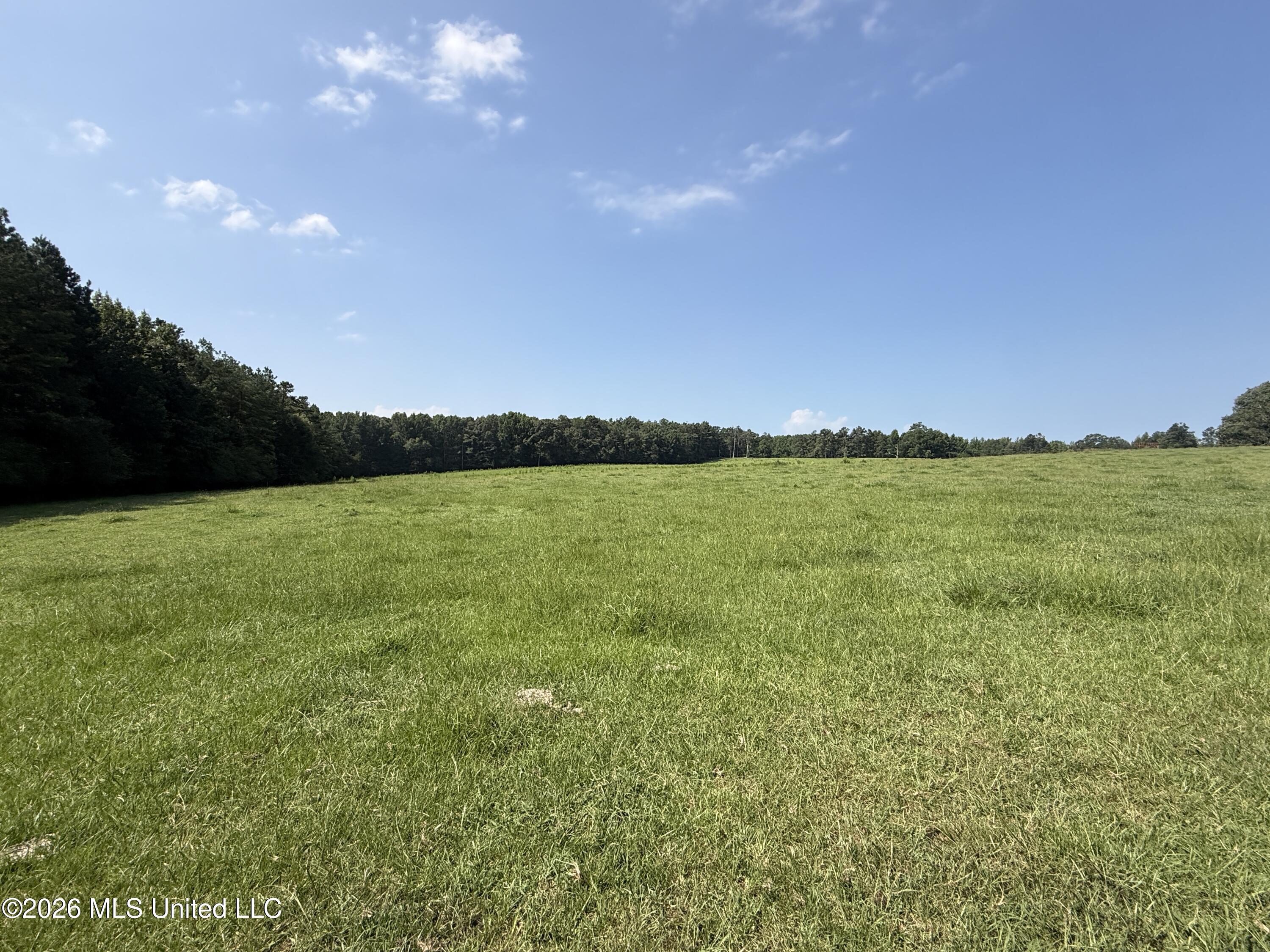 Monte Vista Road Property Photo 20