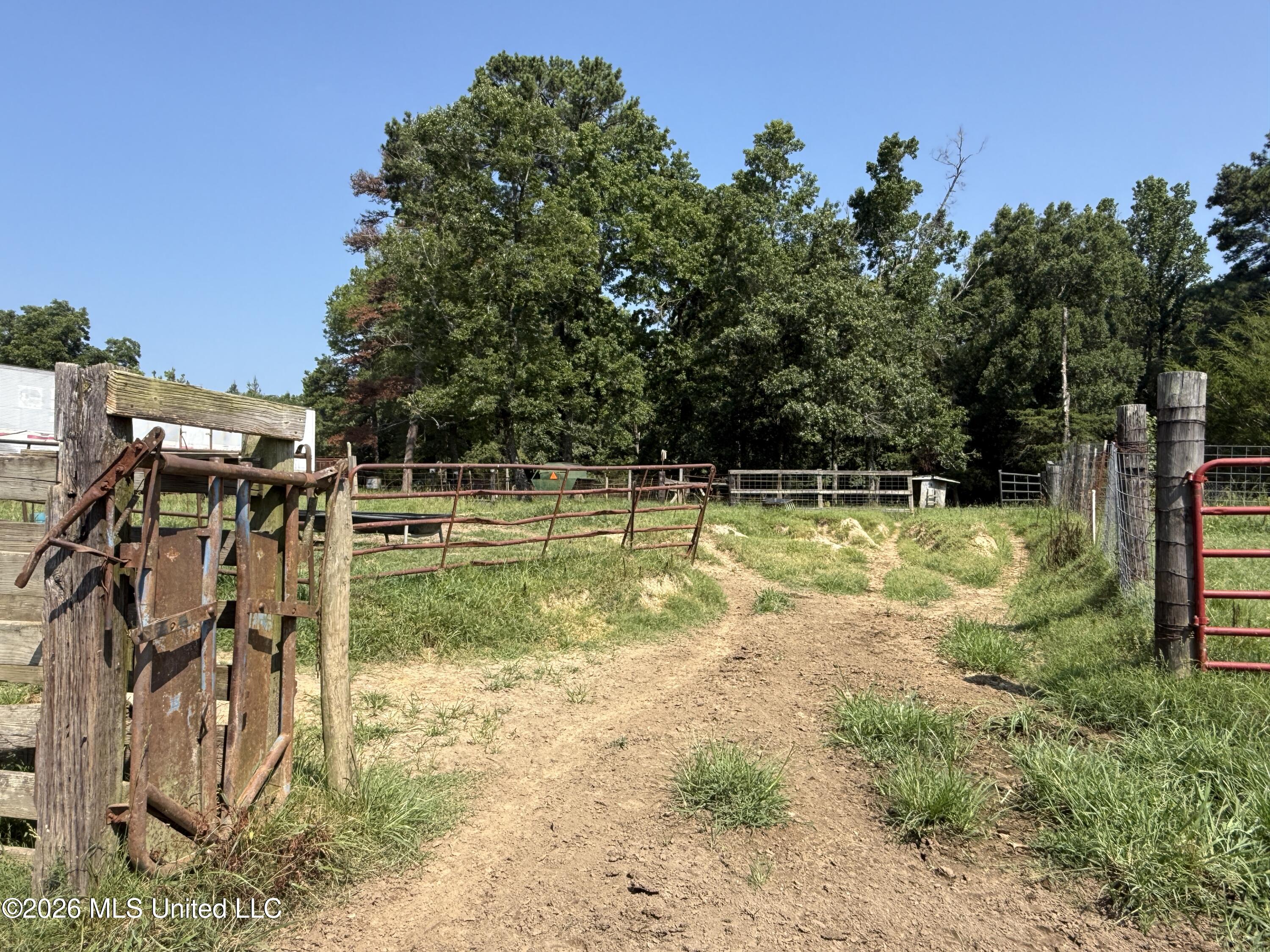 Monte Vista Road Property Photo 25