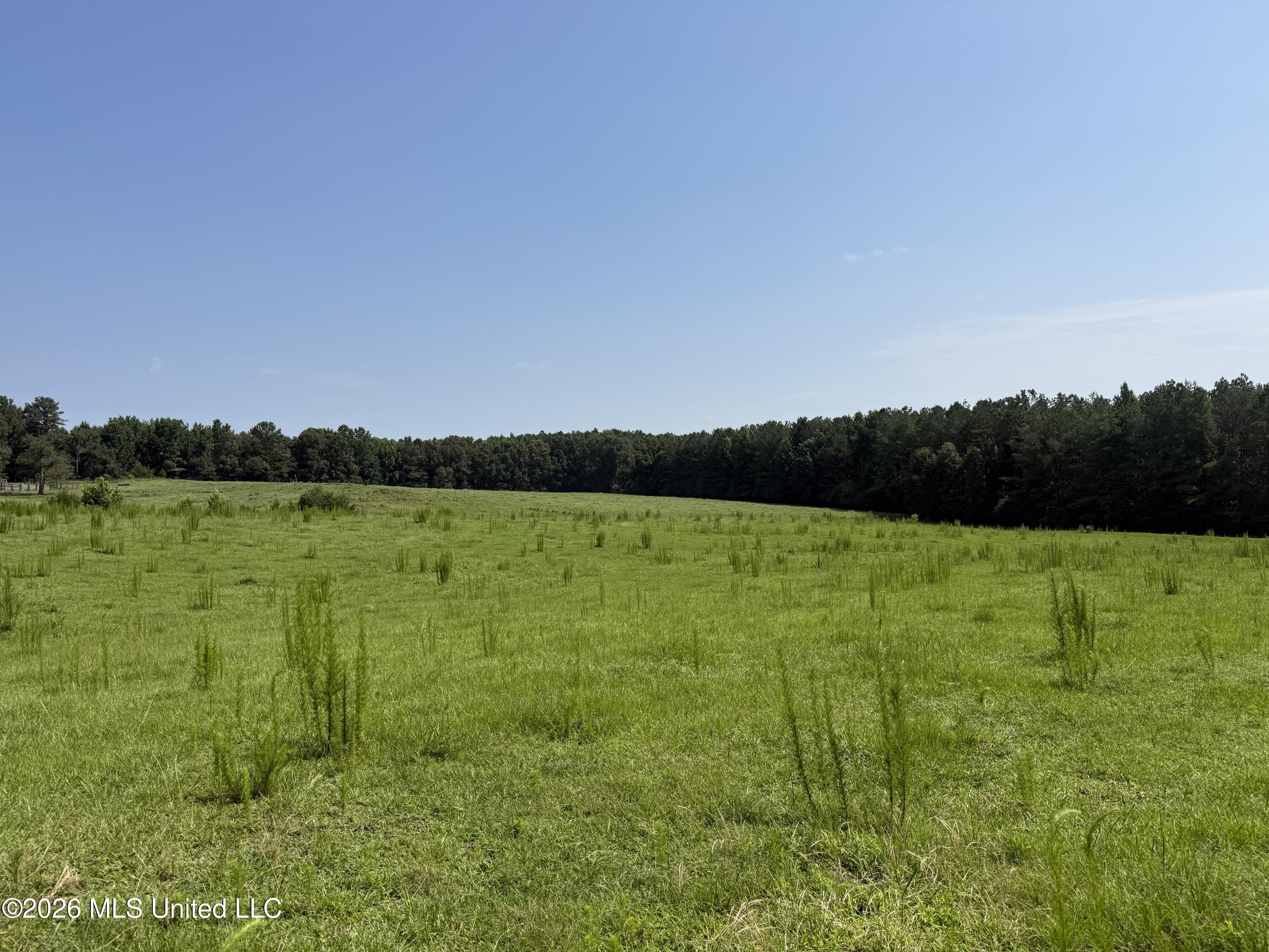 Monte Vista Road Property Photo 28