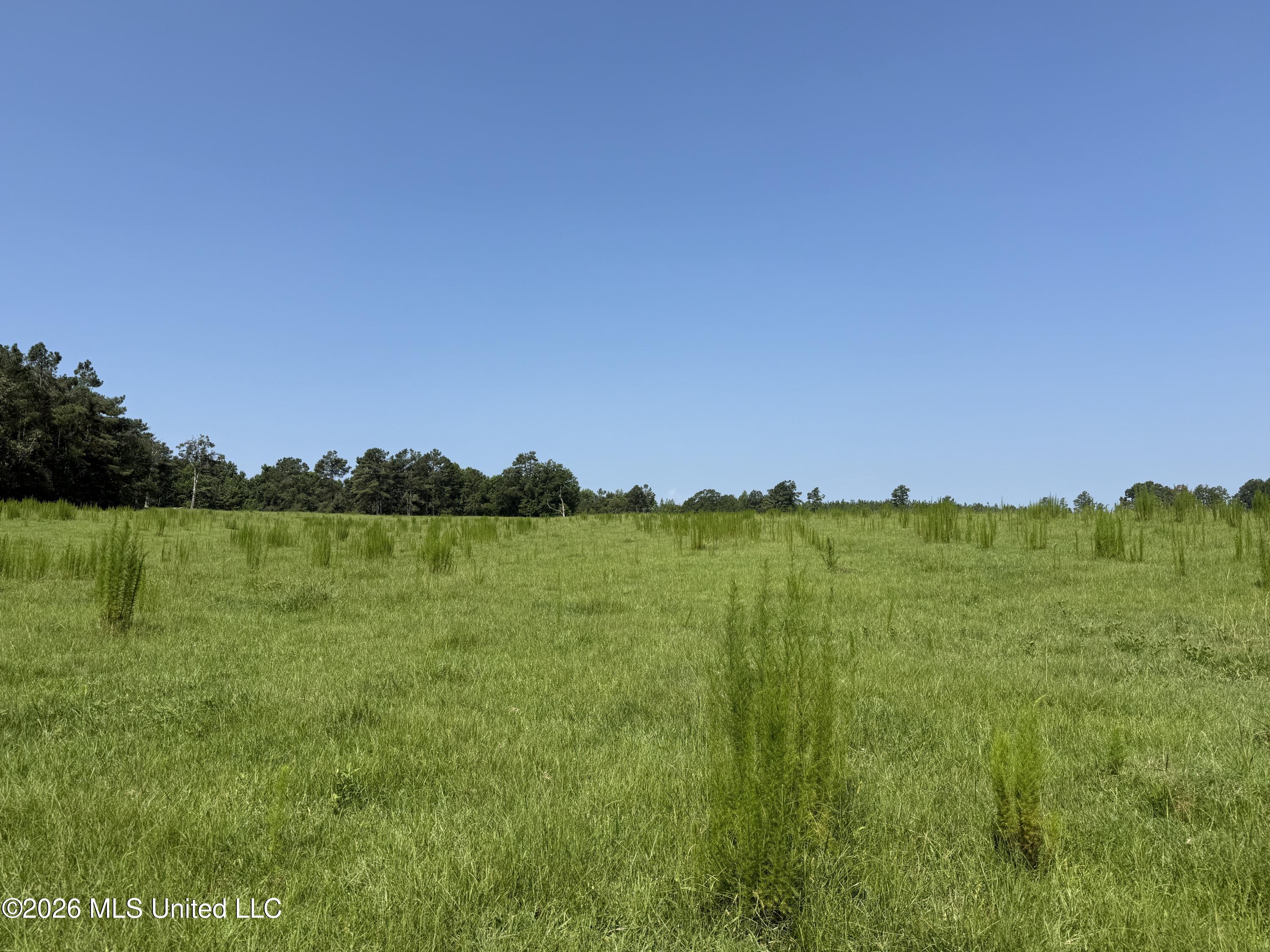Monte Vista Road Property Photo 29