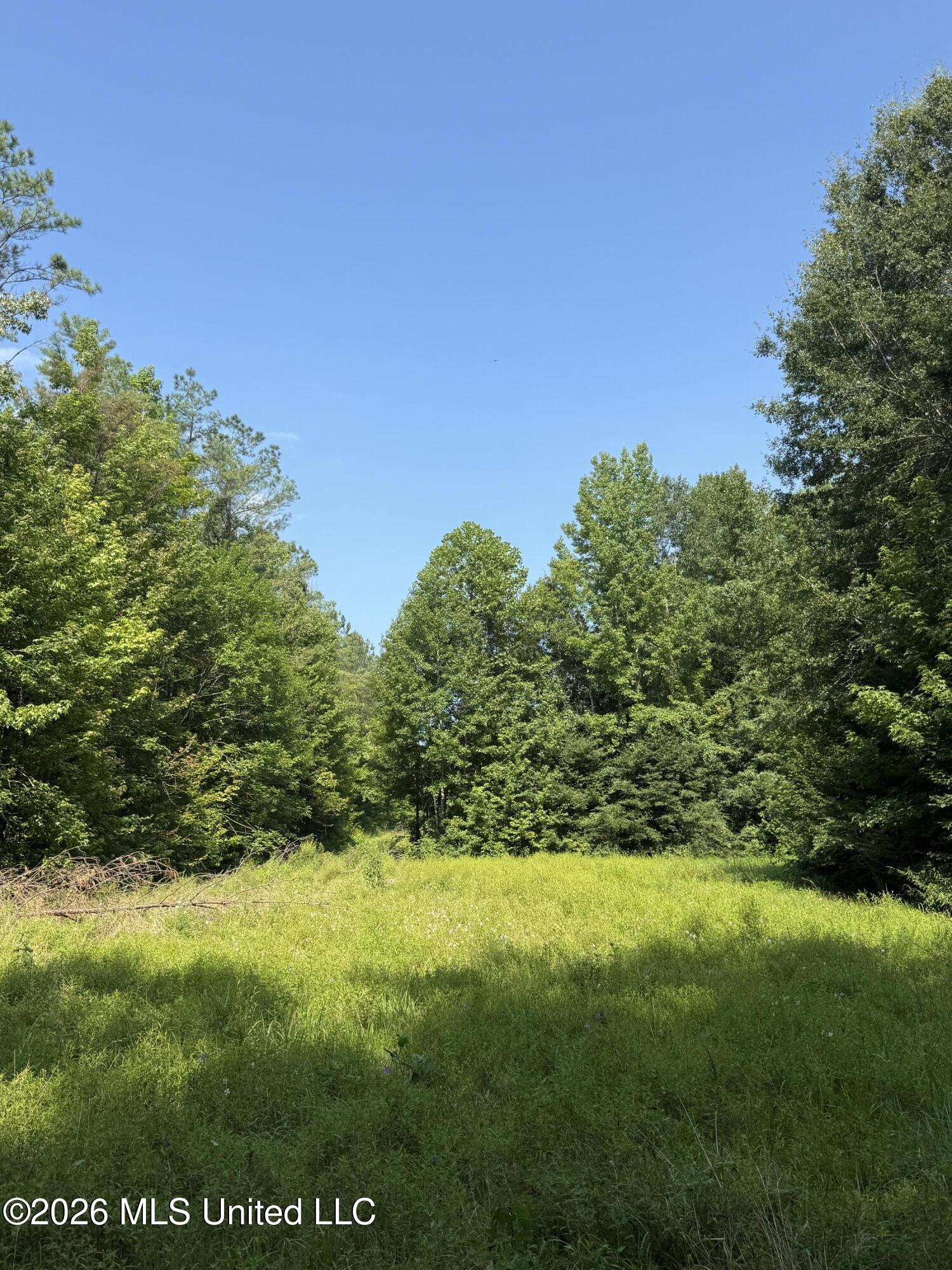 Monte Vista Road Property Photo 42