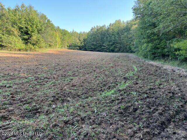 1447 Minor Bridge Road Property Photo 14