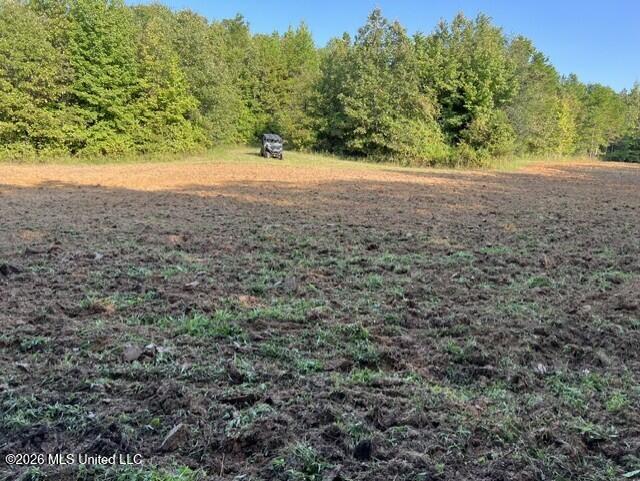 1447 Minor Bridge Road Property Photo 15
