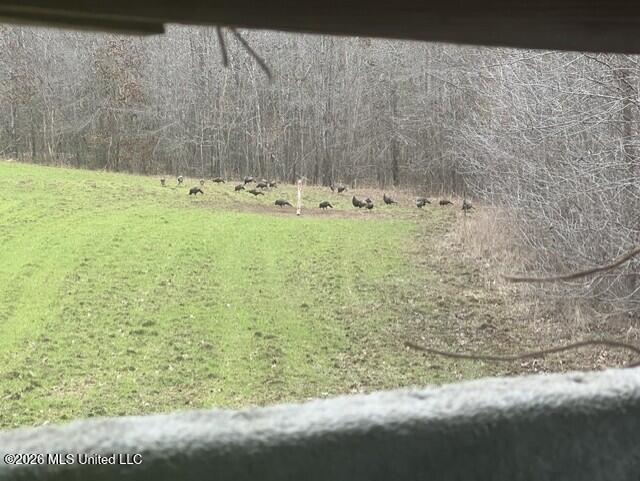 1447 Minor Bridge Road Property Photo 17