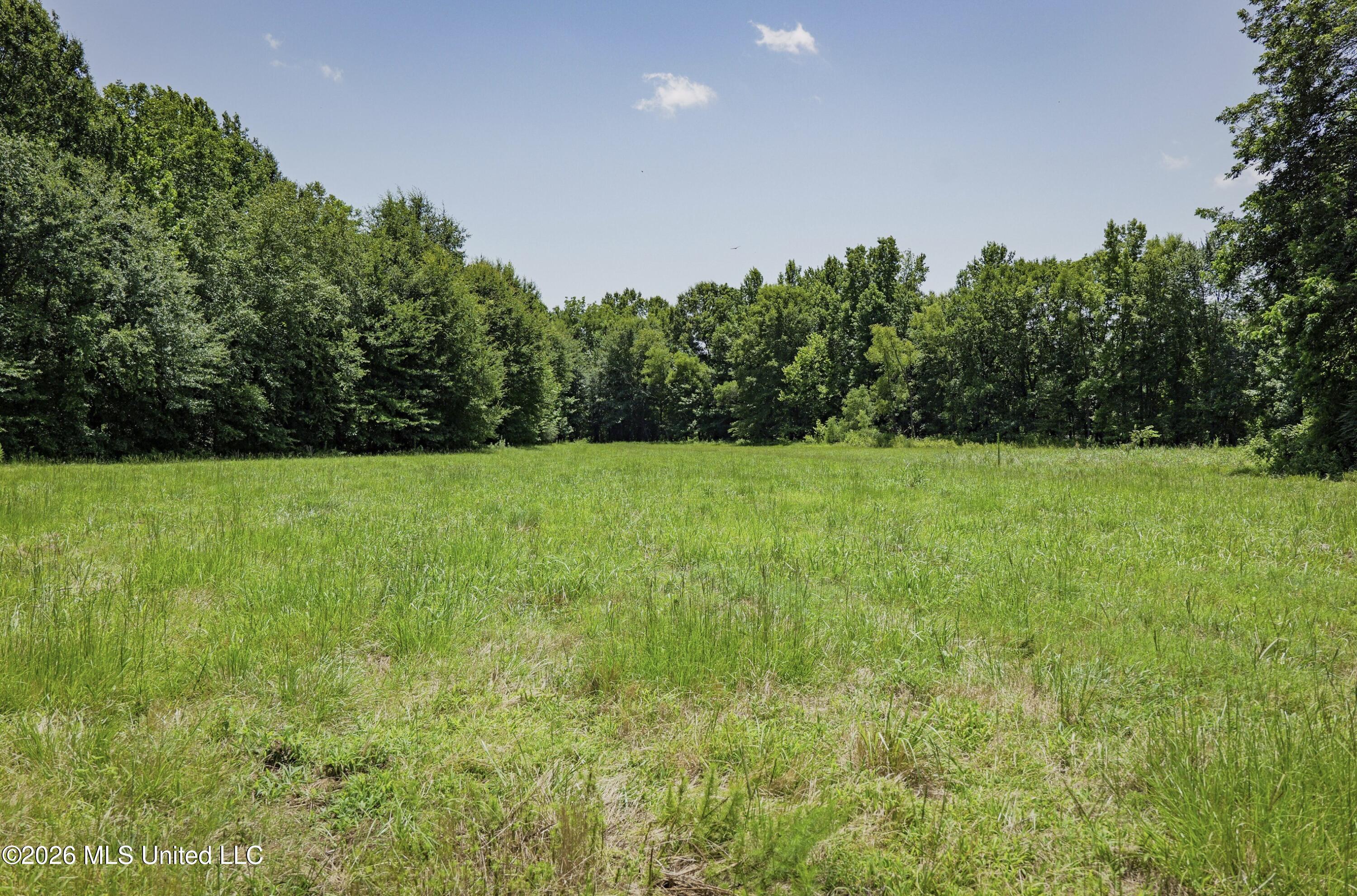 Center Hill Road Property Photo 6