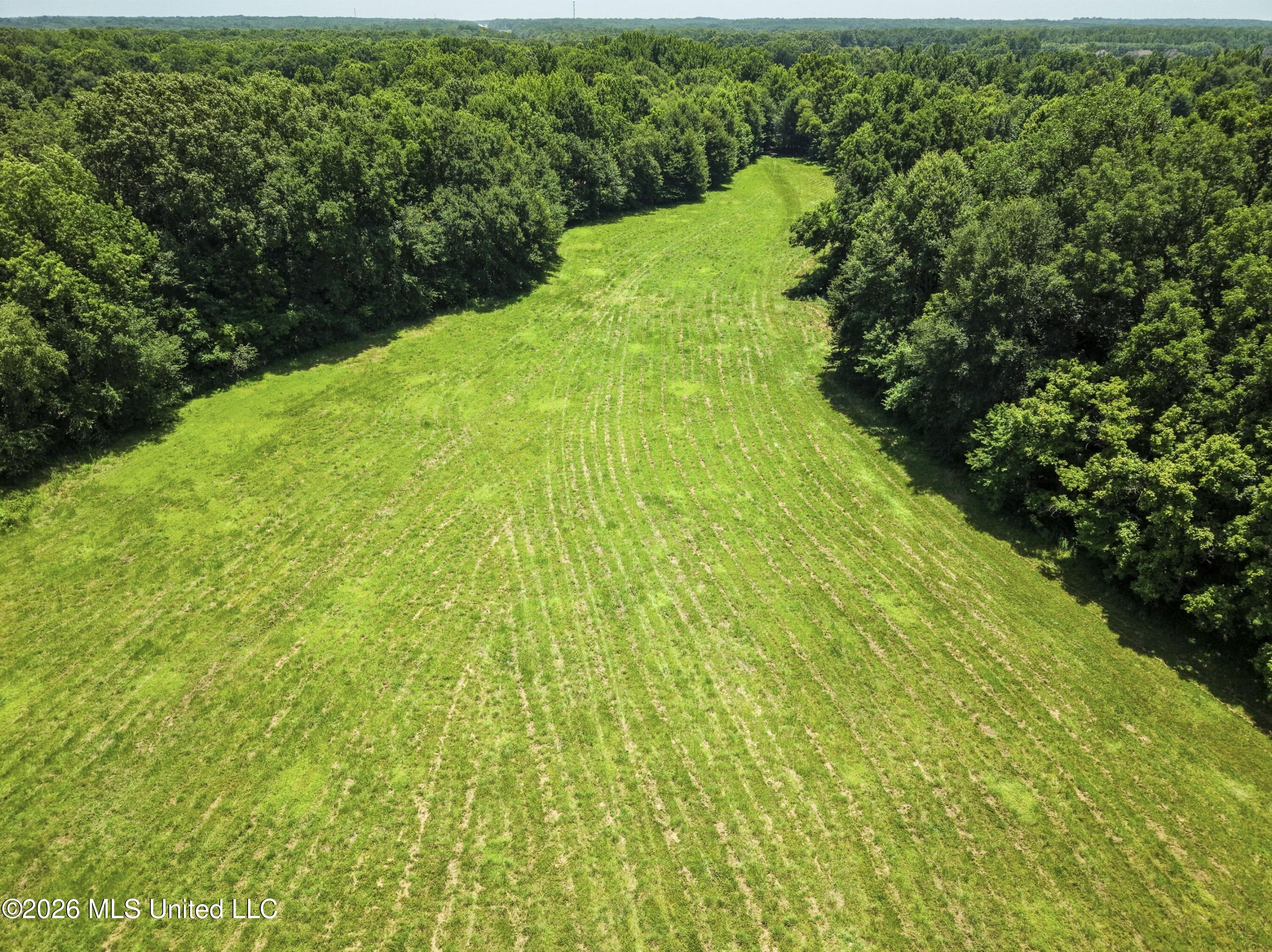 Center Hill Road Property Photo 10