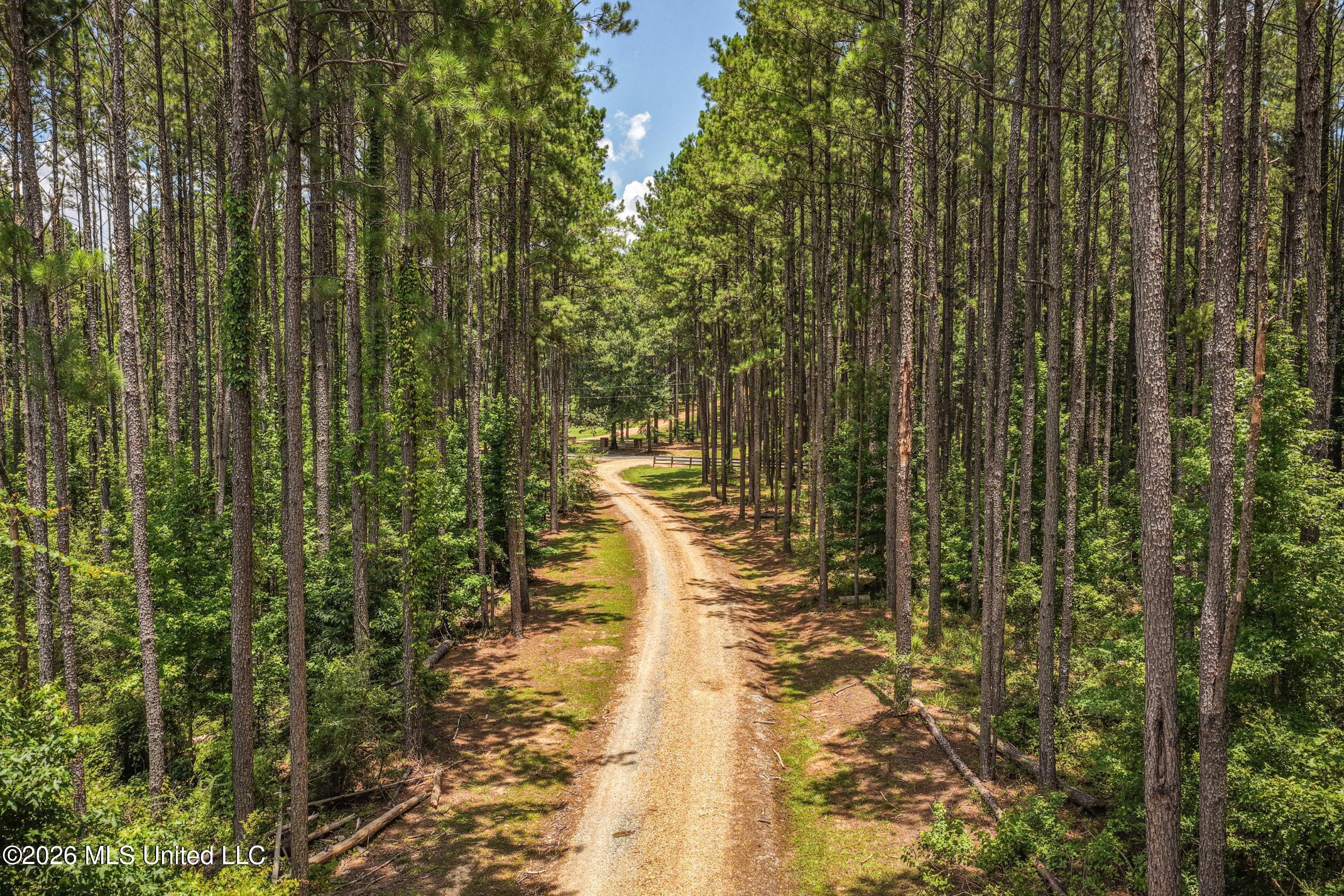 6926 Moak Road Property Photo 36