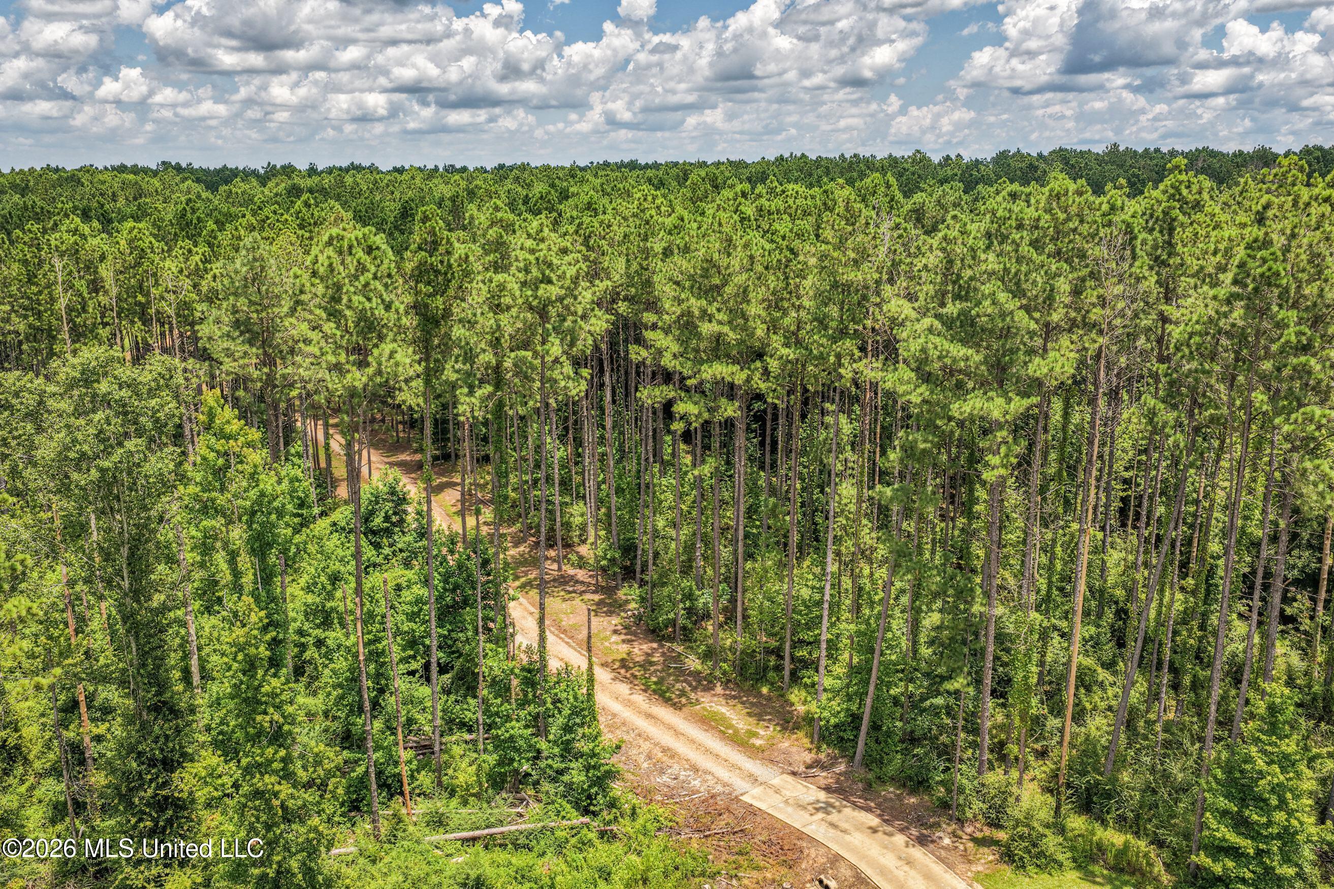 6926 Moak Road Property Photo 37