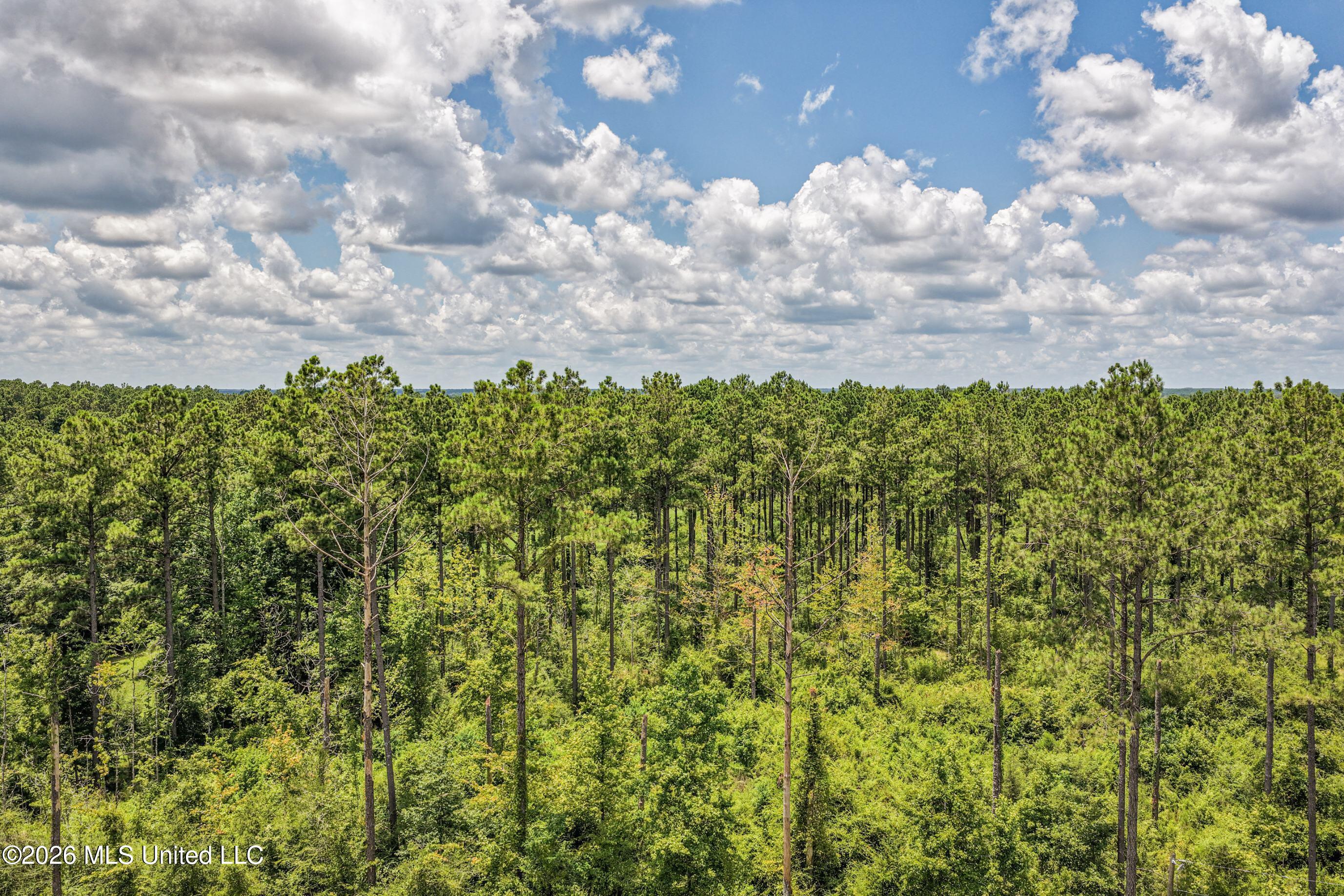 6926 Moak Road Property Photo 38