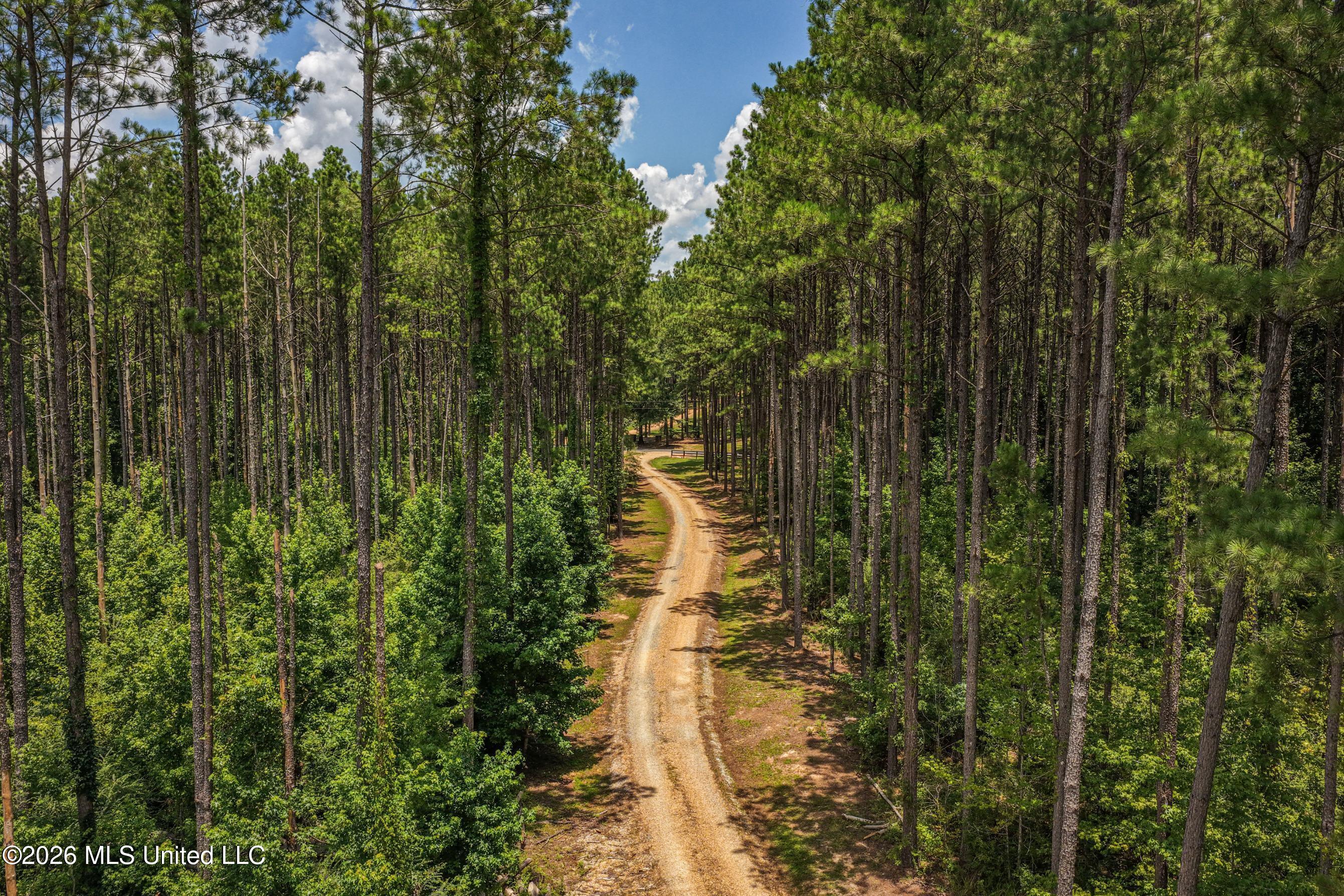 6926 Moak Road Property Photo 44