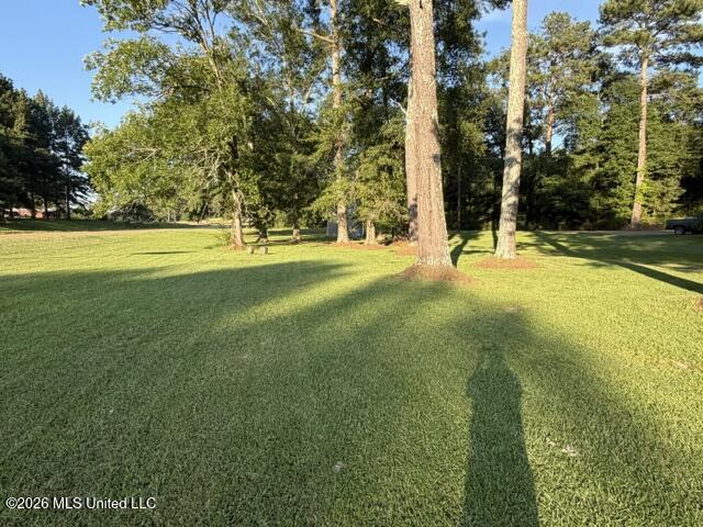 7030 Mississippi 18 Property Photo 4