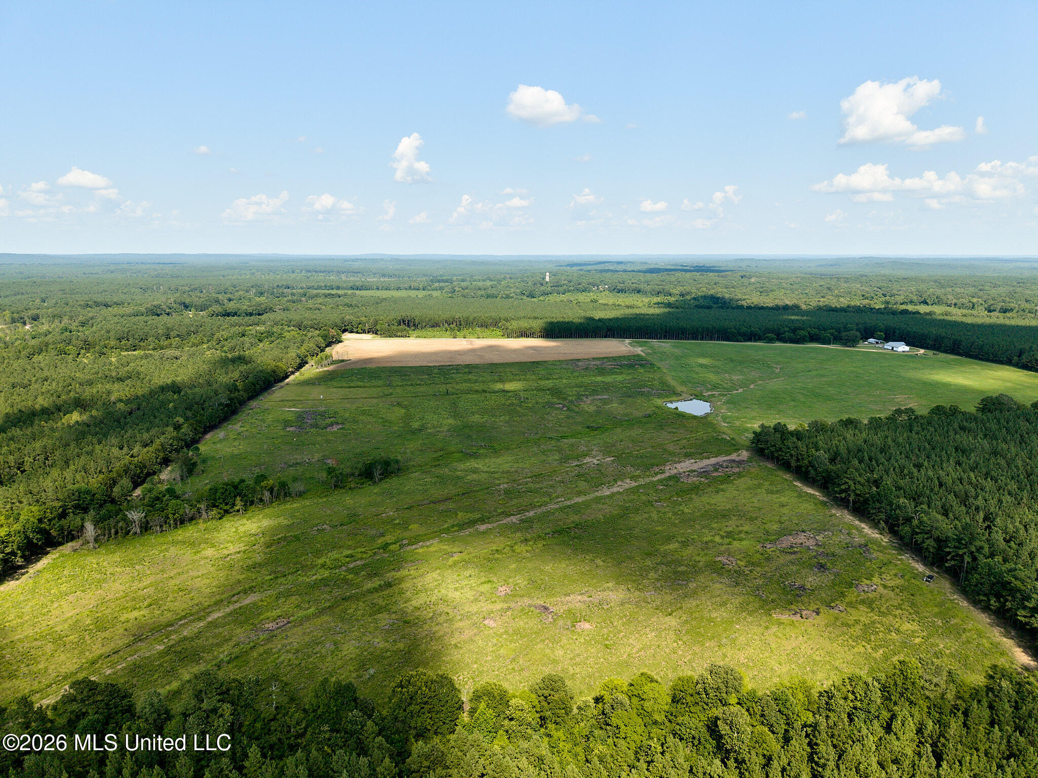 79 County Road 2349 Property Photo 5