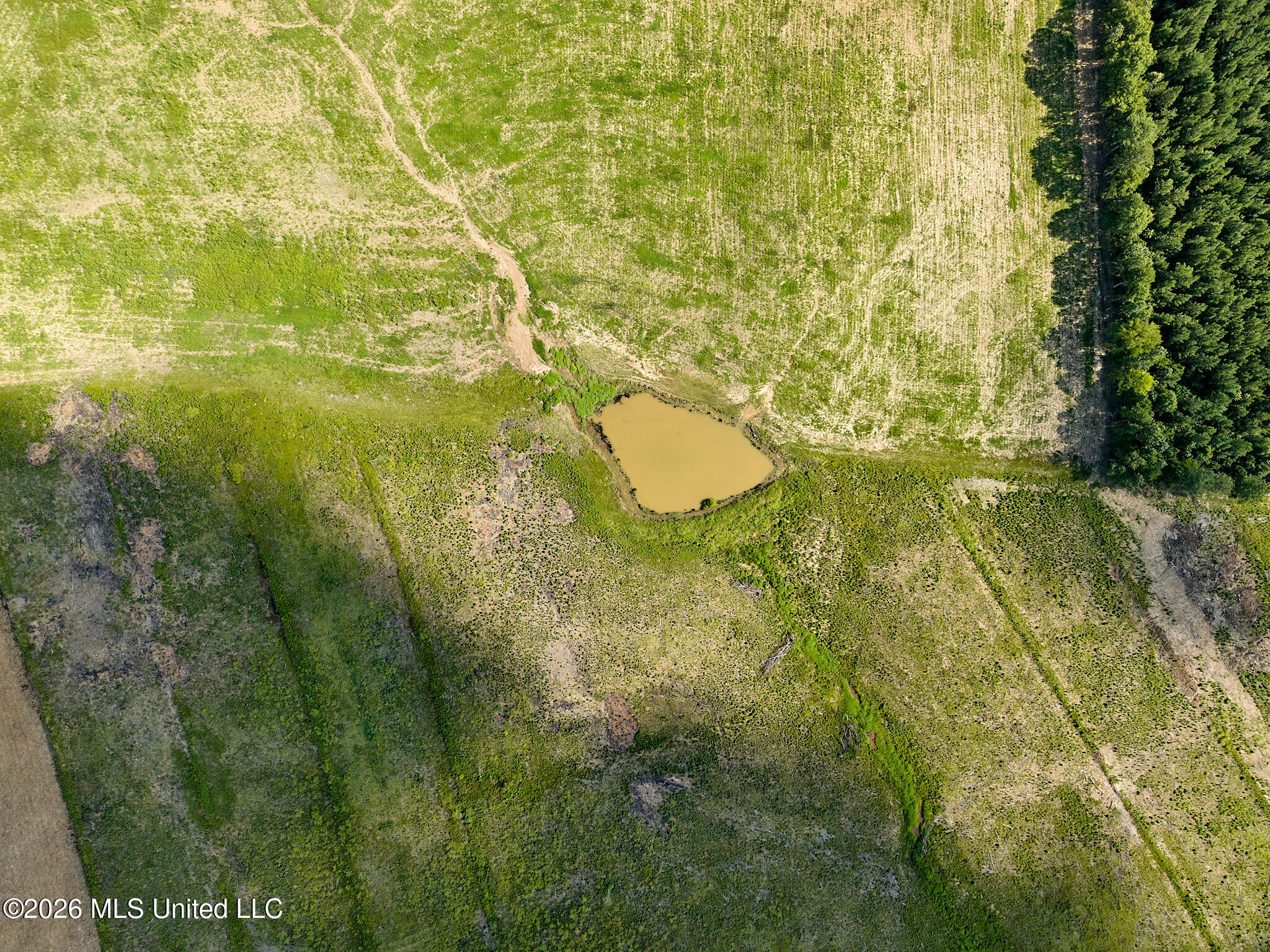 79 County Road 2349 Property Photo 10