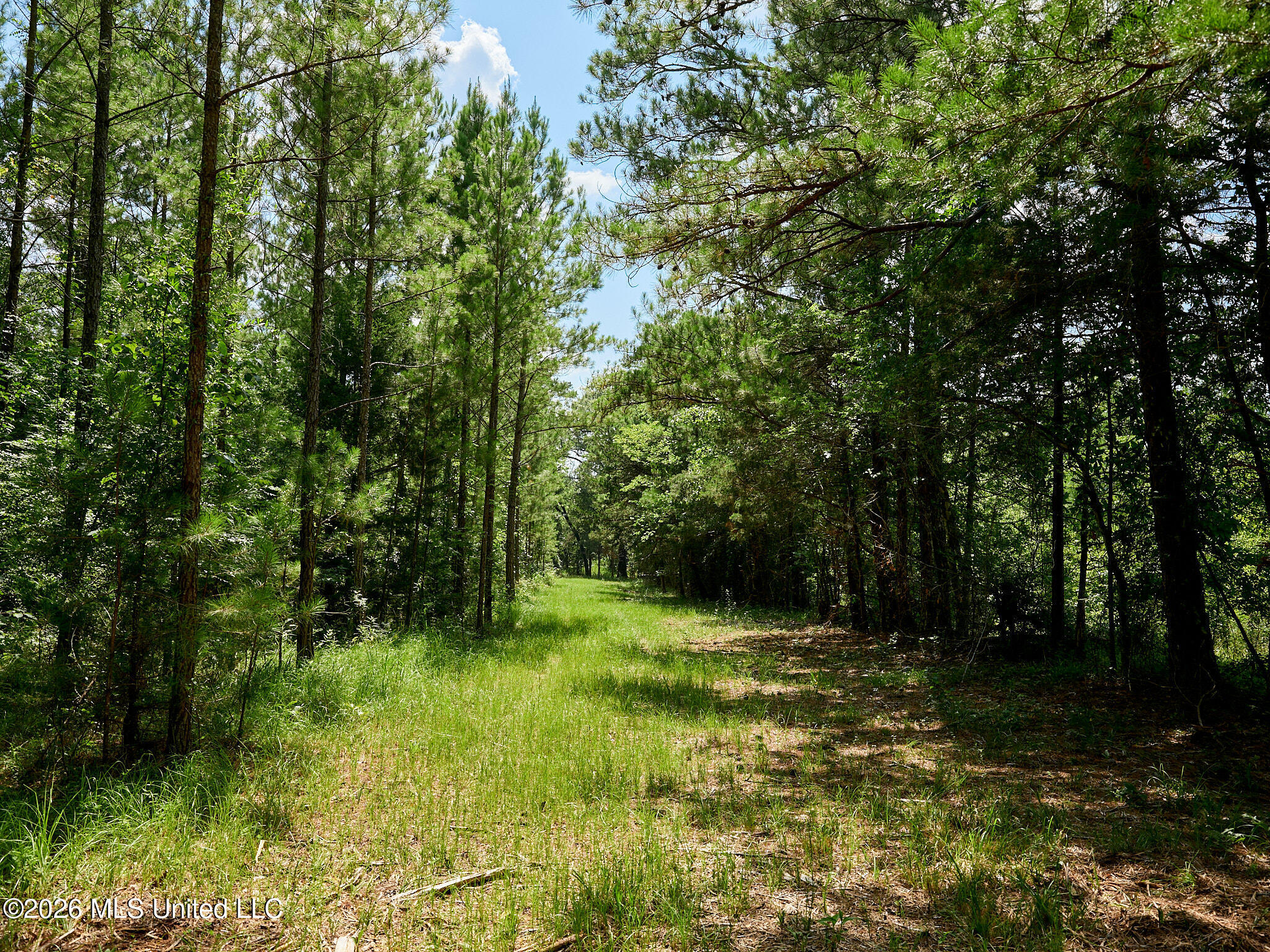 79 County Road 2349 Property Photo 36