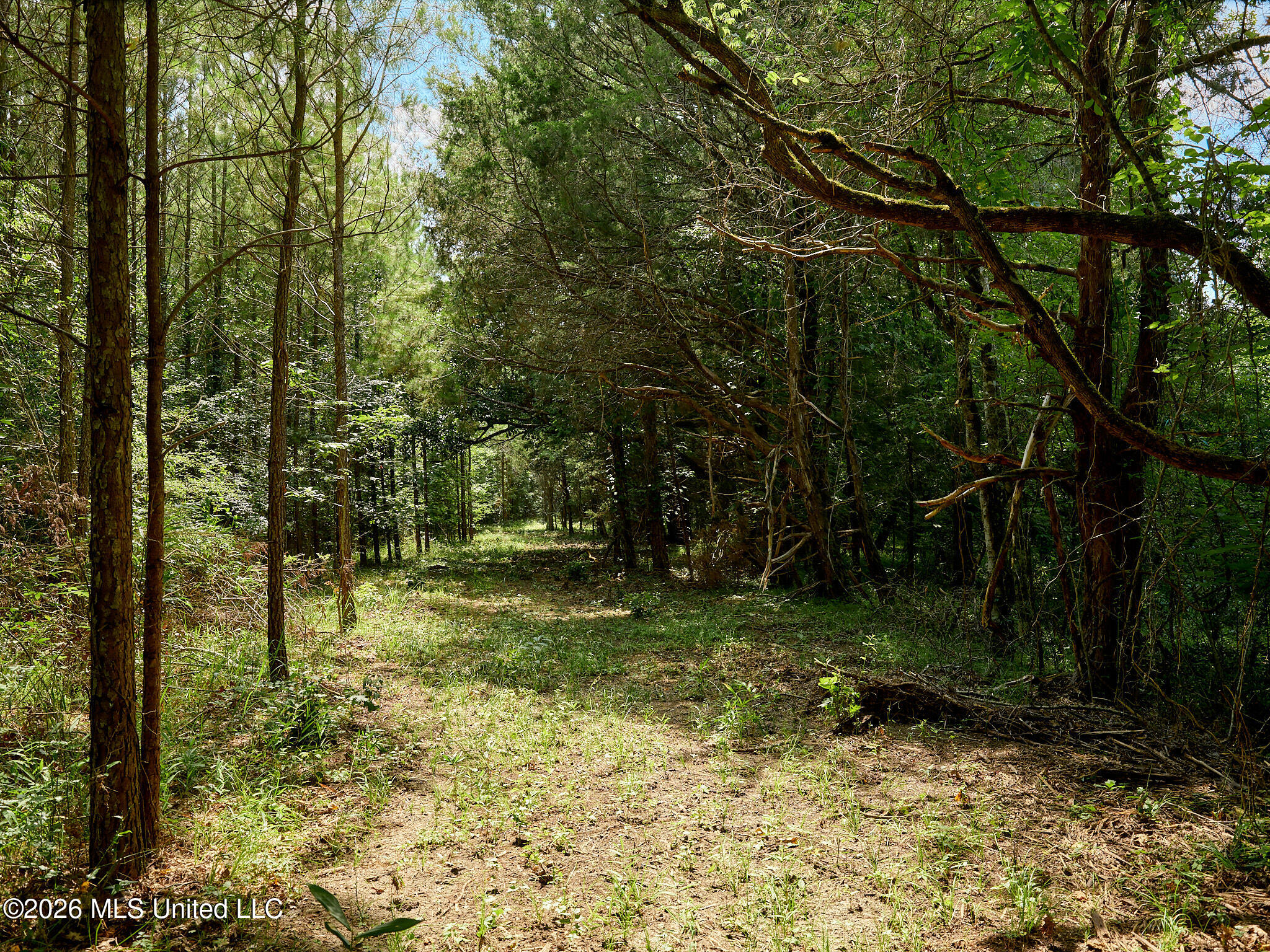 79 County Road 2349 Property Photo 37