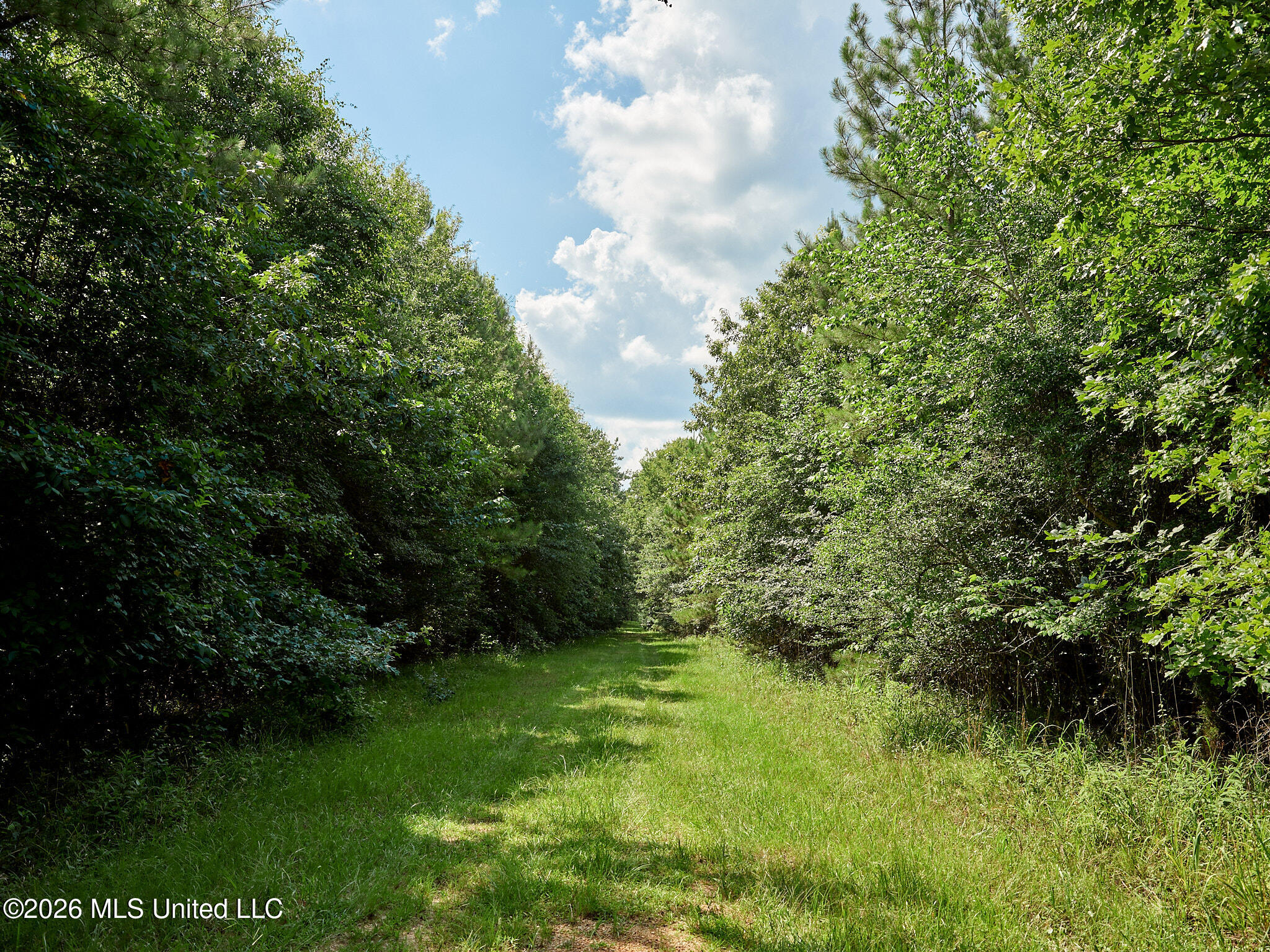79 County Road 2349 Property Photo 41