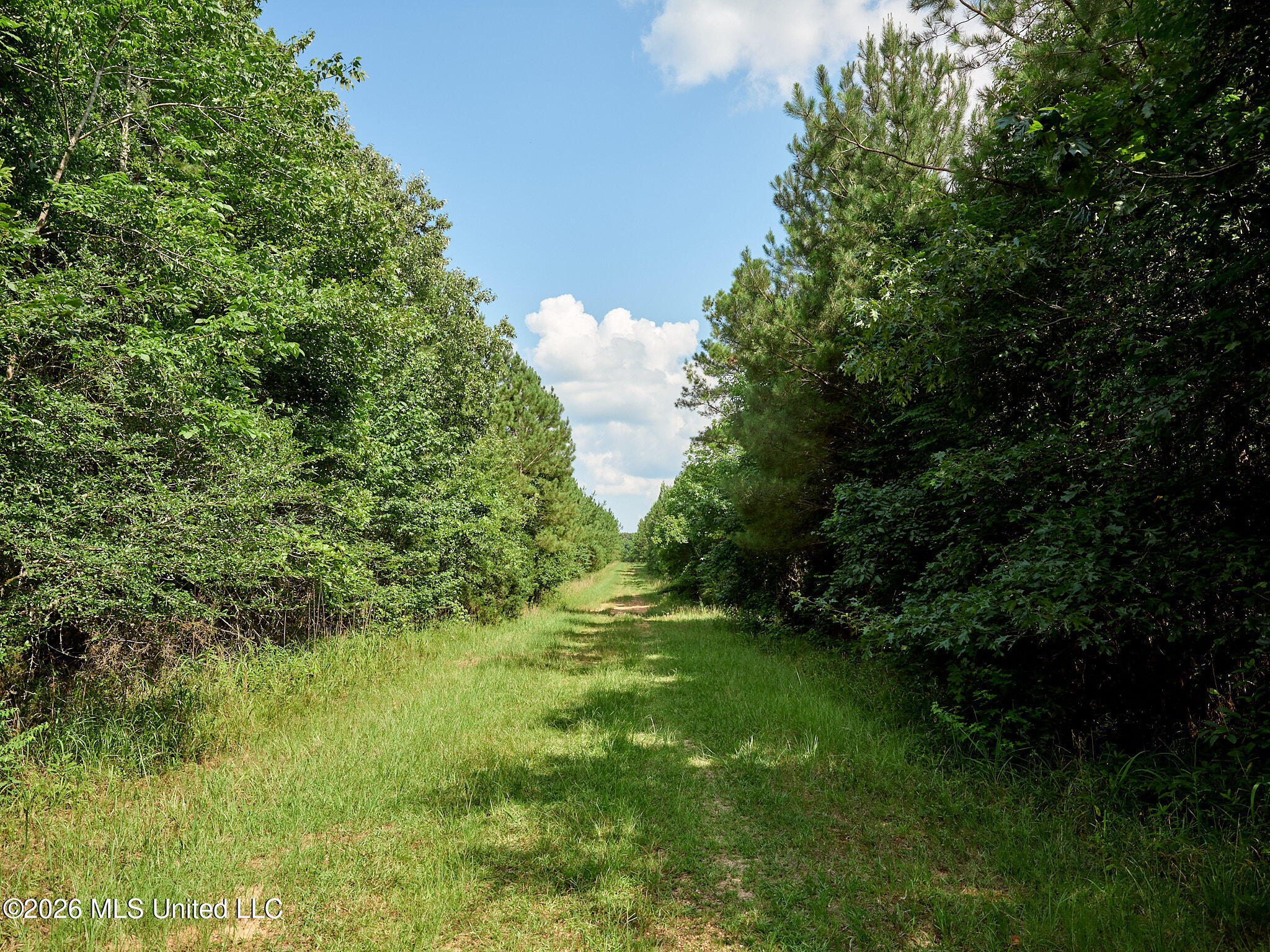 79 County Road 2349 Property Photo 42