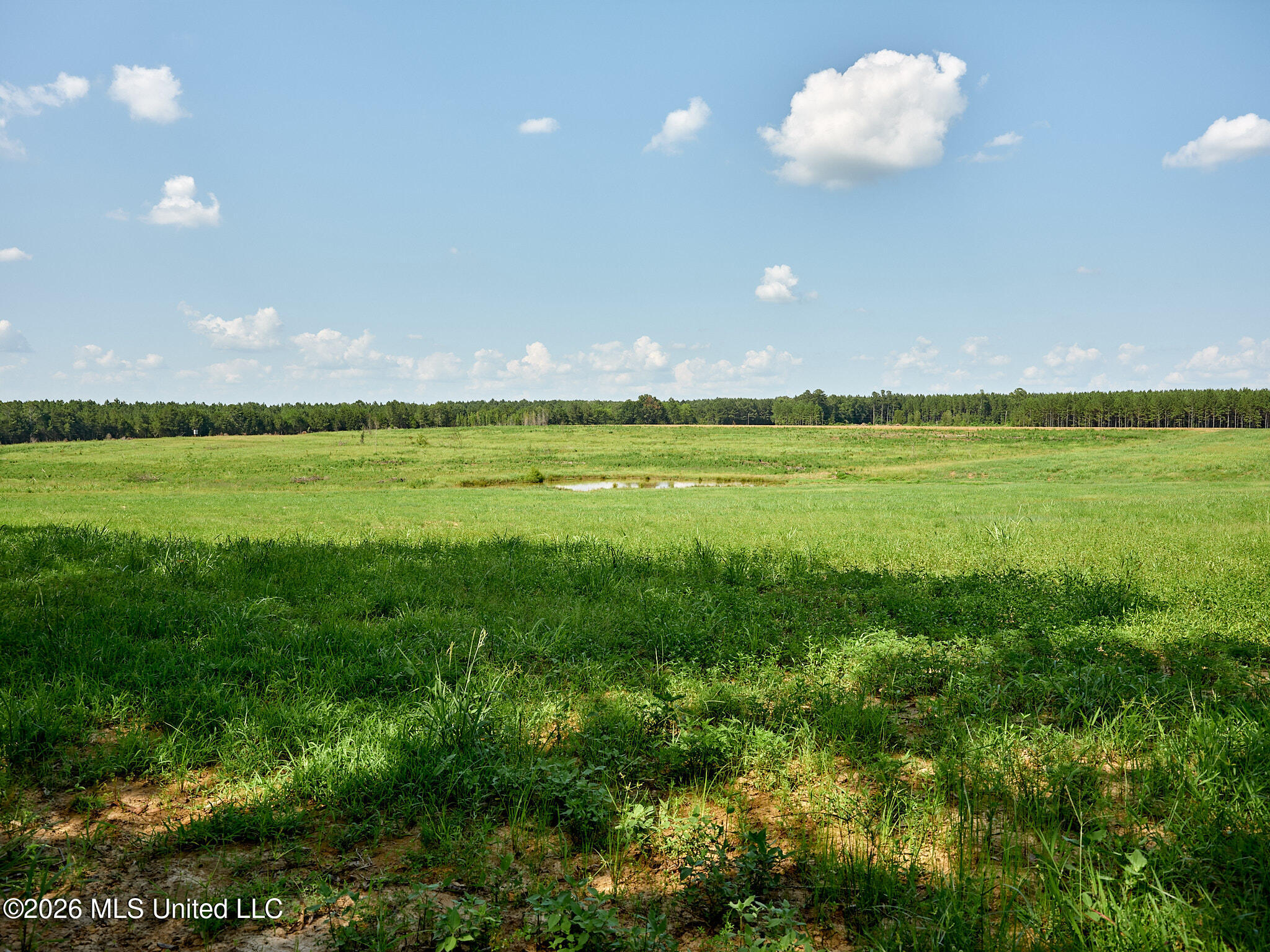 79 County Road 2349 Property Photo 44