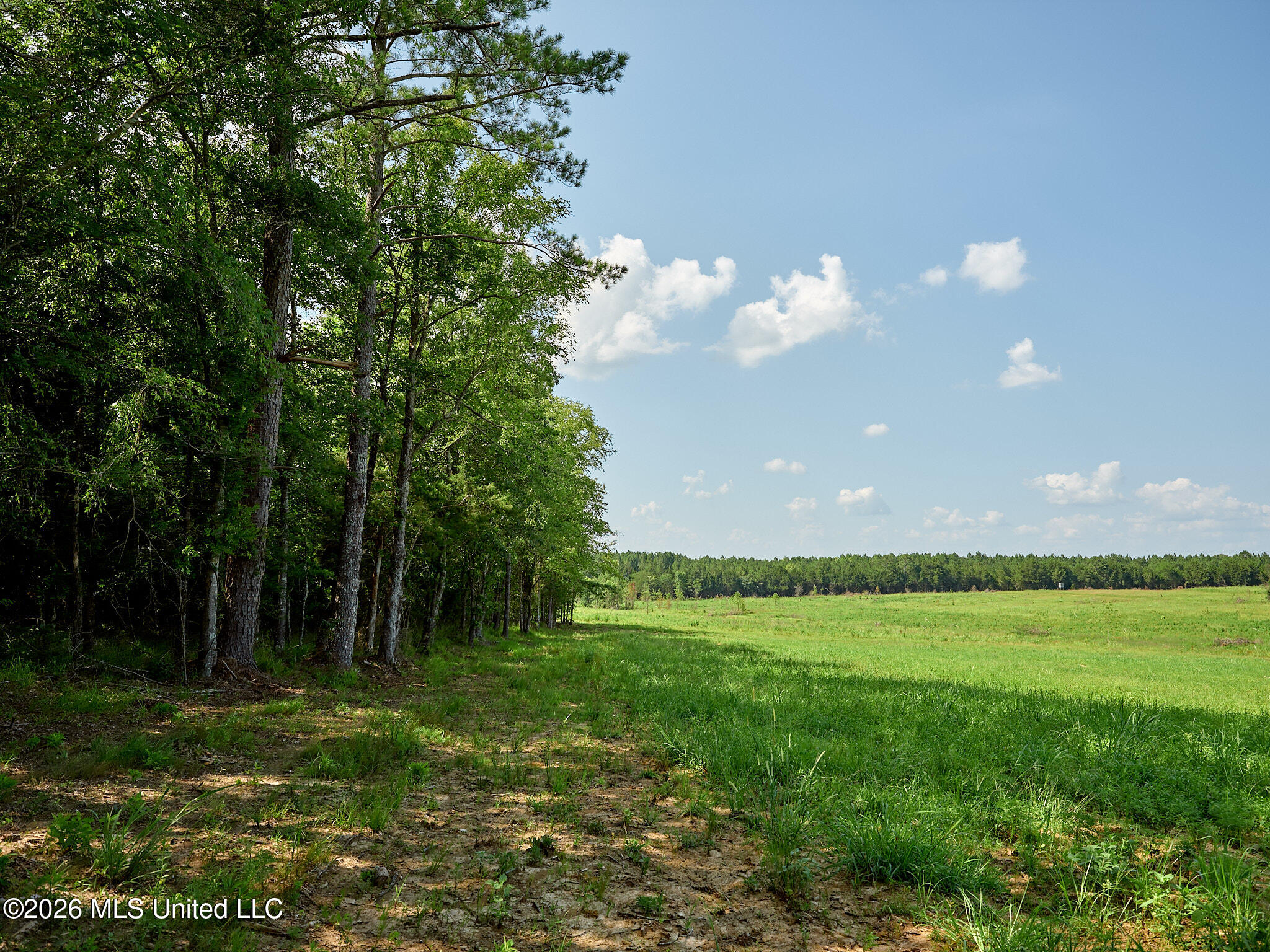 79 County Road 2349 Property Photo 45