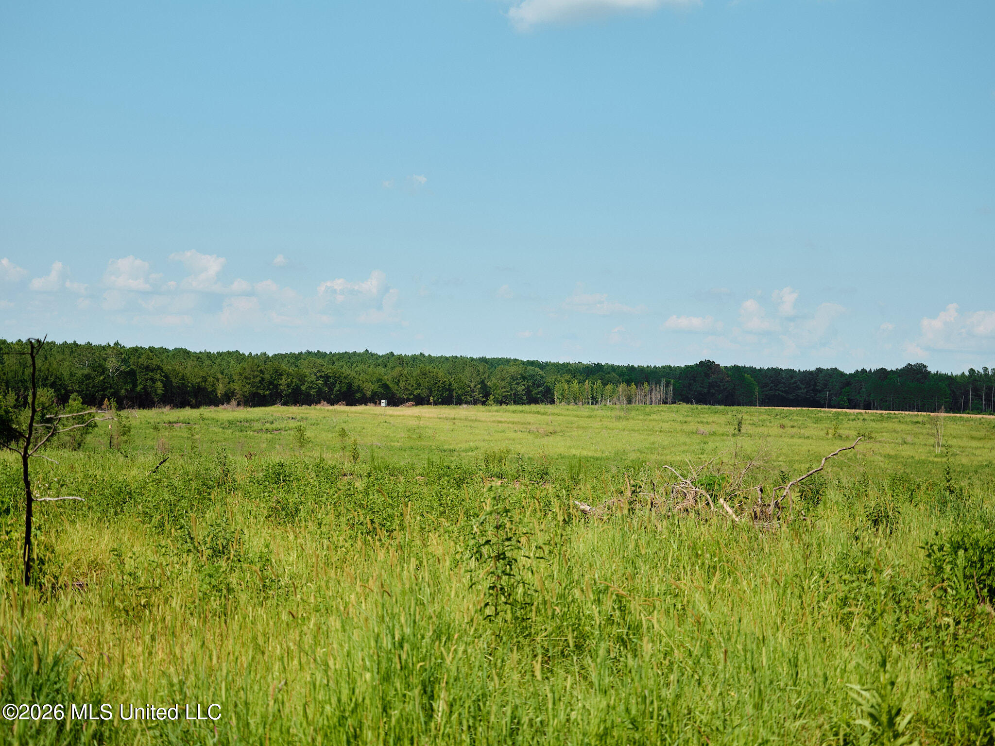 79 County Road 2349 Property Photo 46