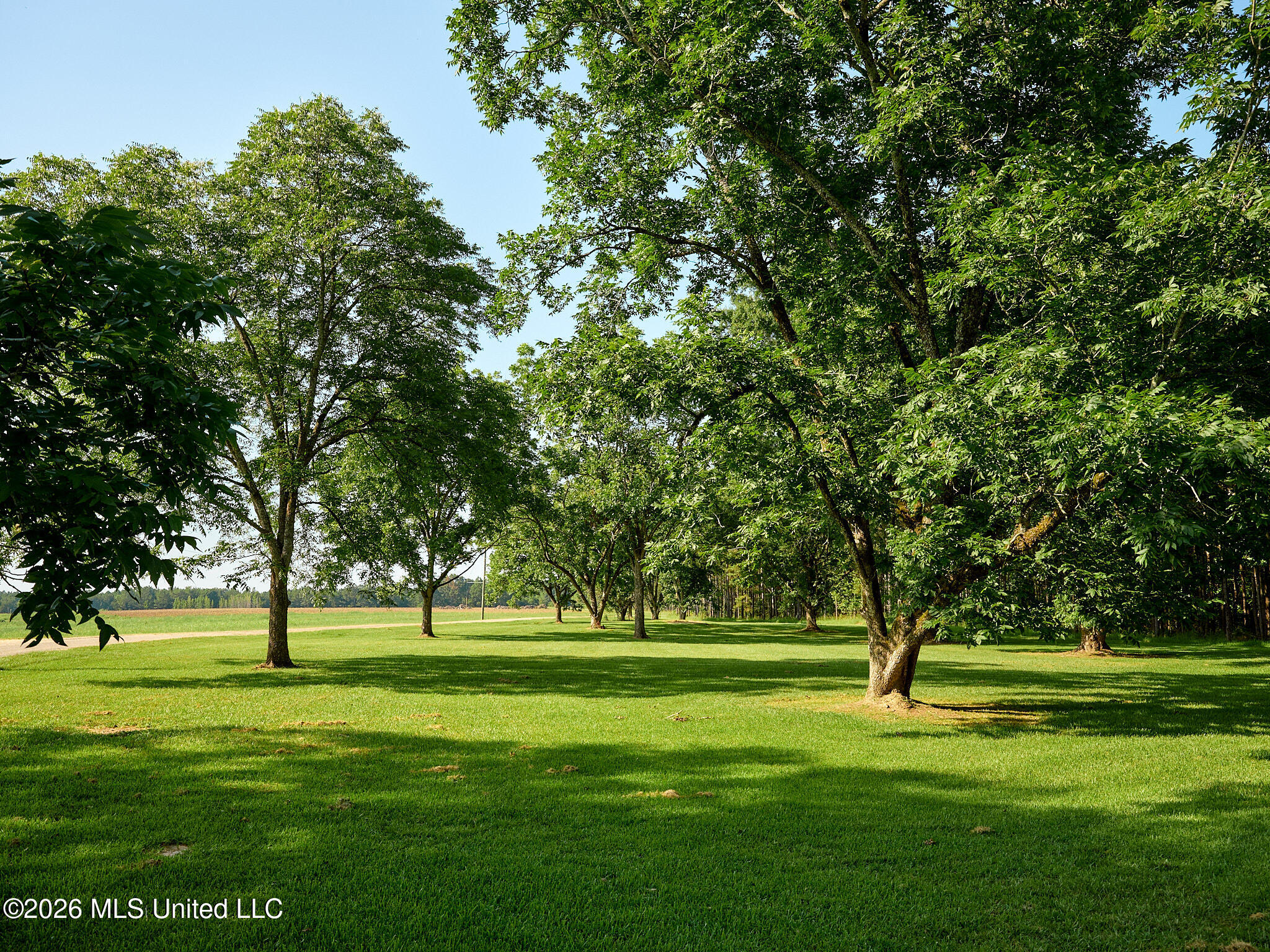 79 County Road 2349 Property Photo 50